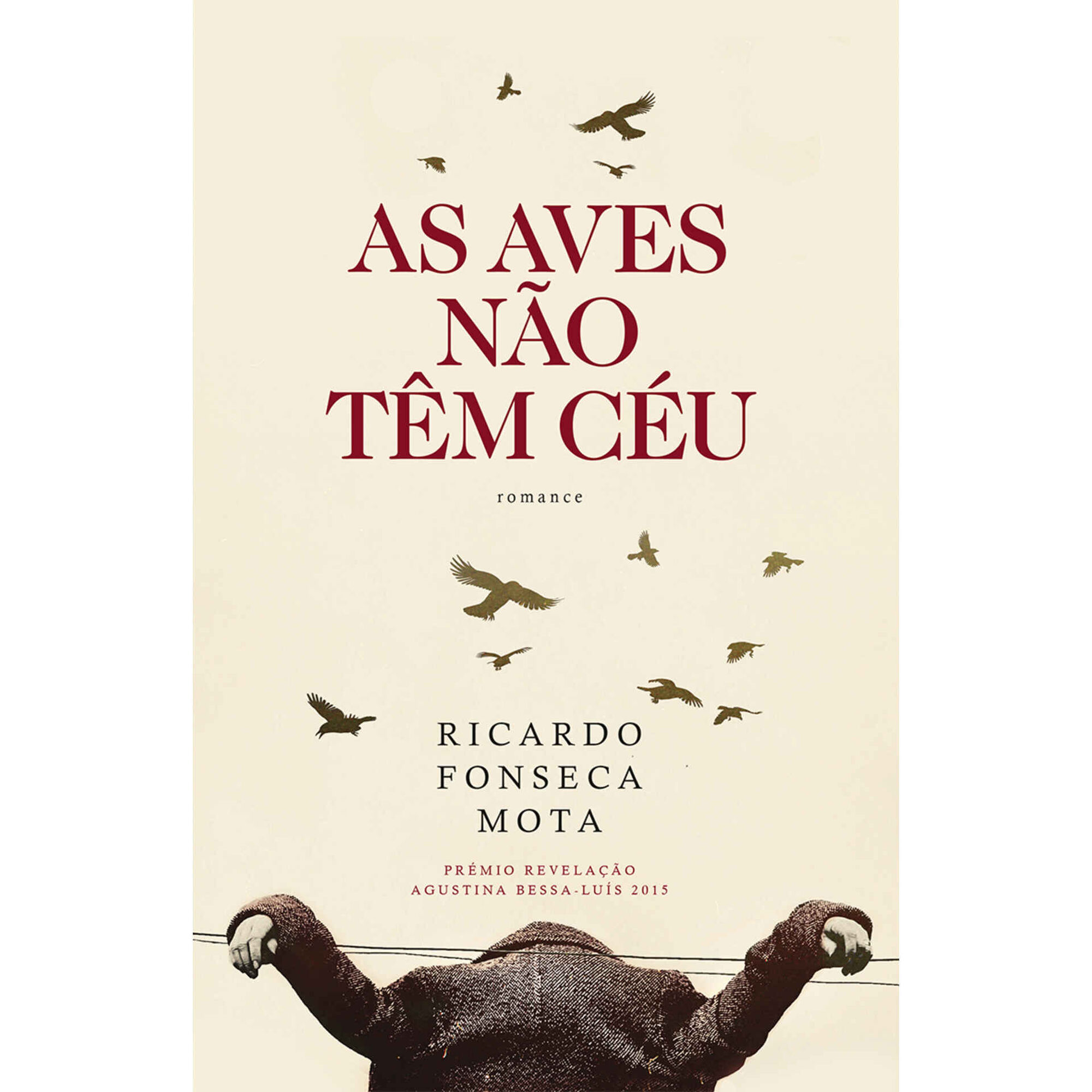 As Aves Não Têm Céu