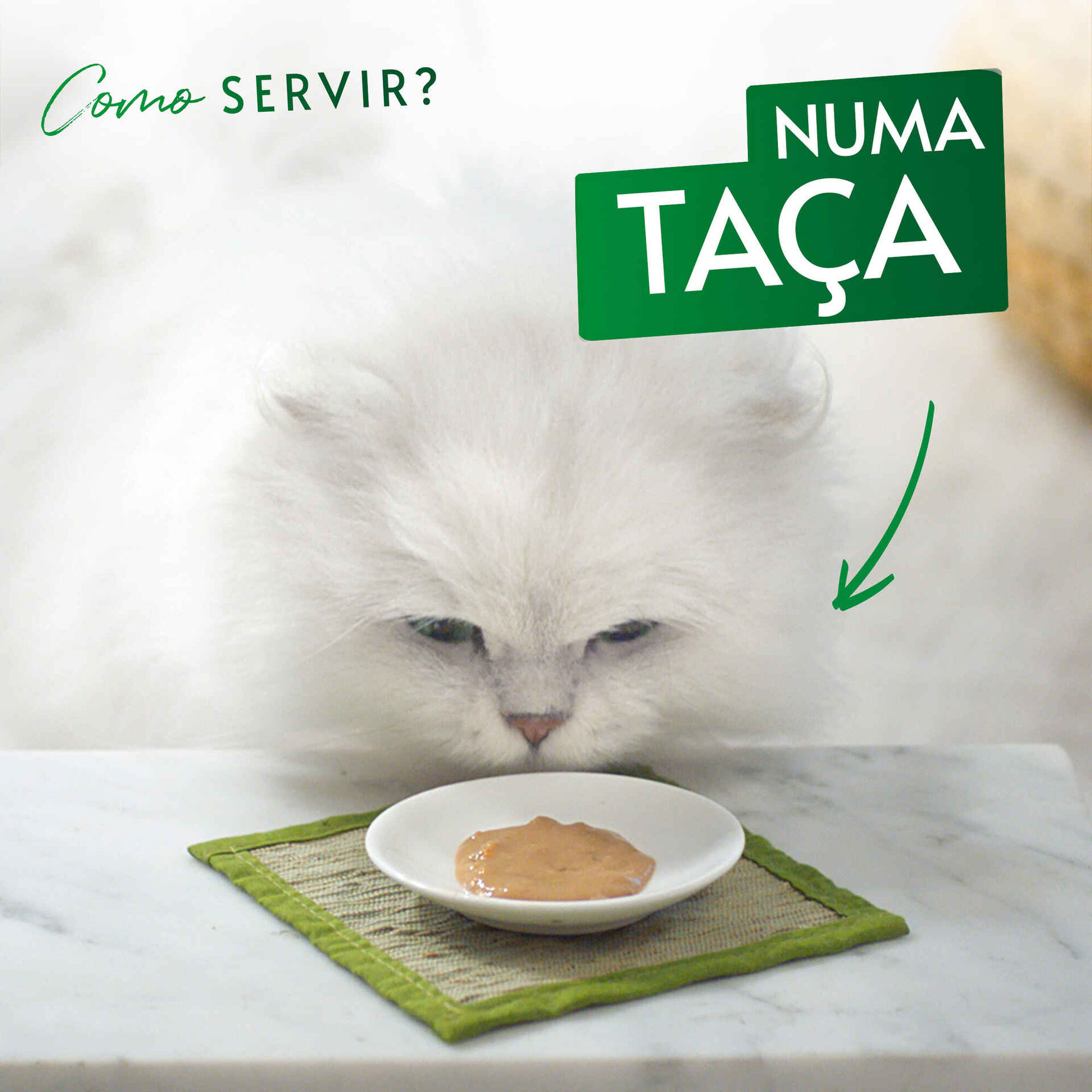 Snack para Gato Adulto Pur&eacute; Salm&atilde;o