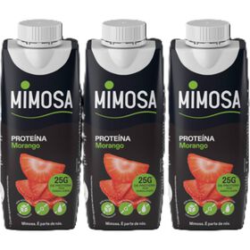 Leite Prote&iacute;na Morango sem Lactose Mimosa