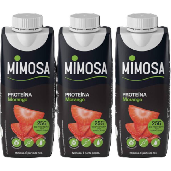 Leite Proteína Morango sem Lactose Mimosa