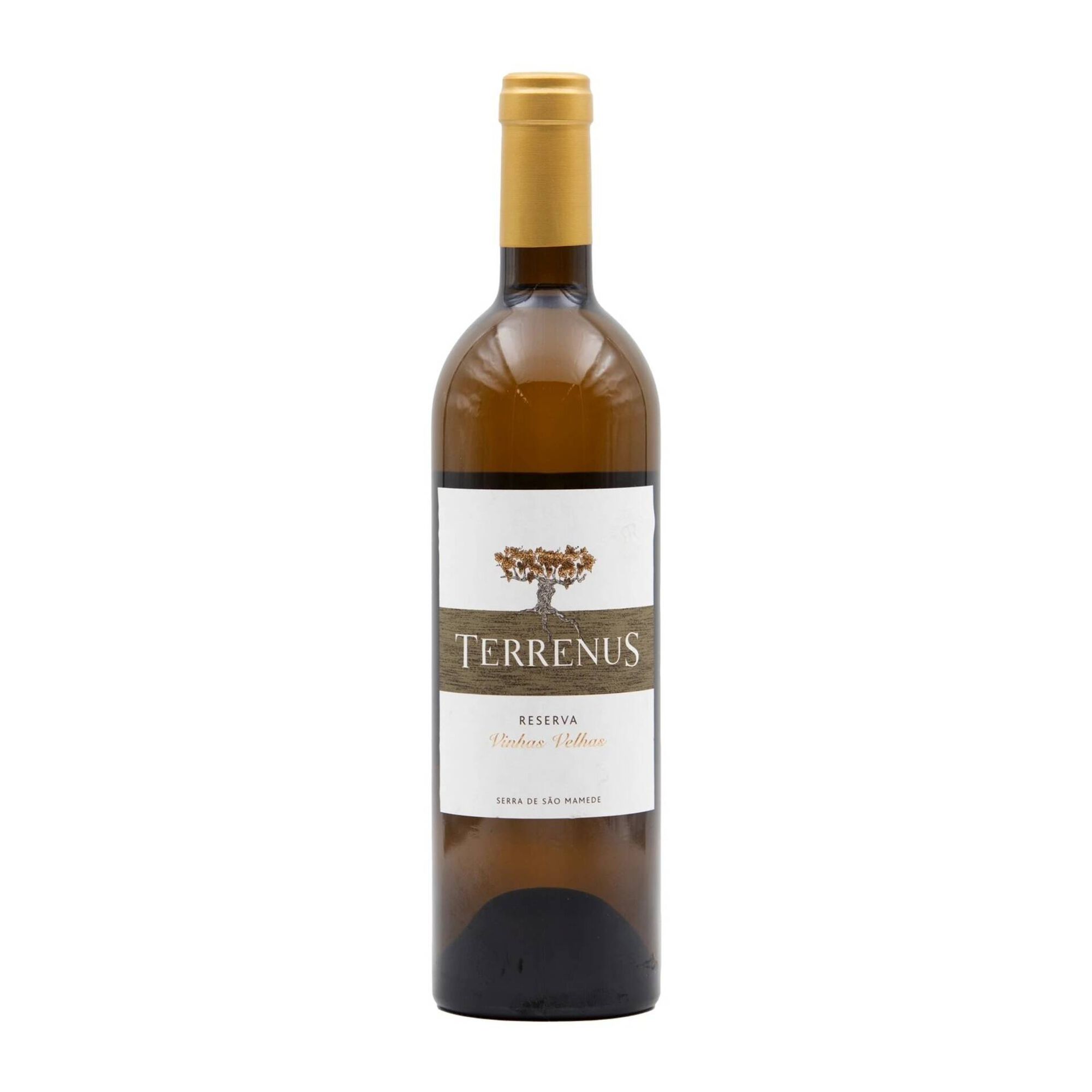 Terrenus Reserva Alentejano Vinho Branco