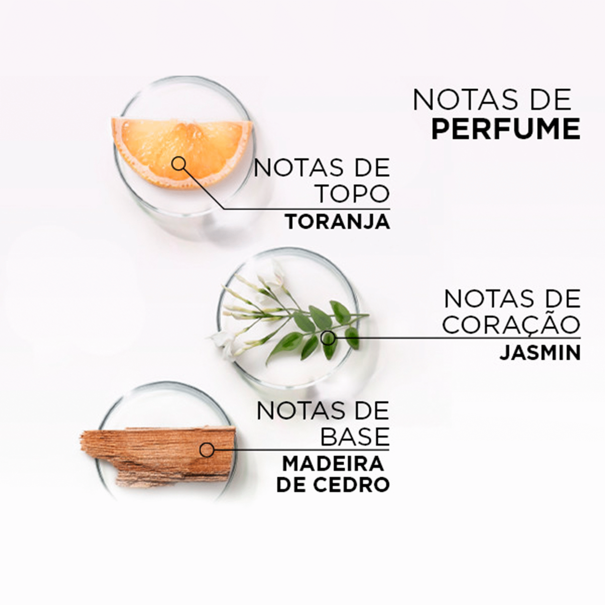 Champô Elvive Glycolic Gloss