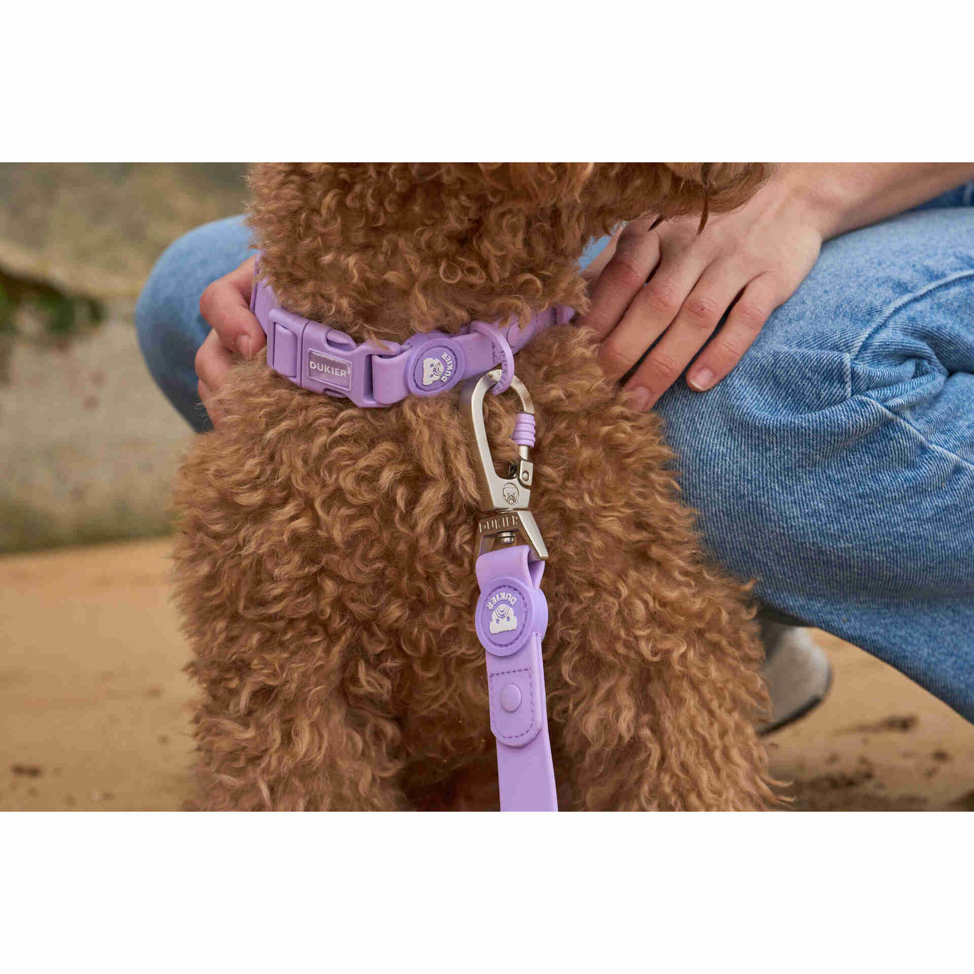 Coleira para C&atilde;o Waterproof Purple L Dukier
