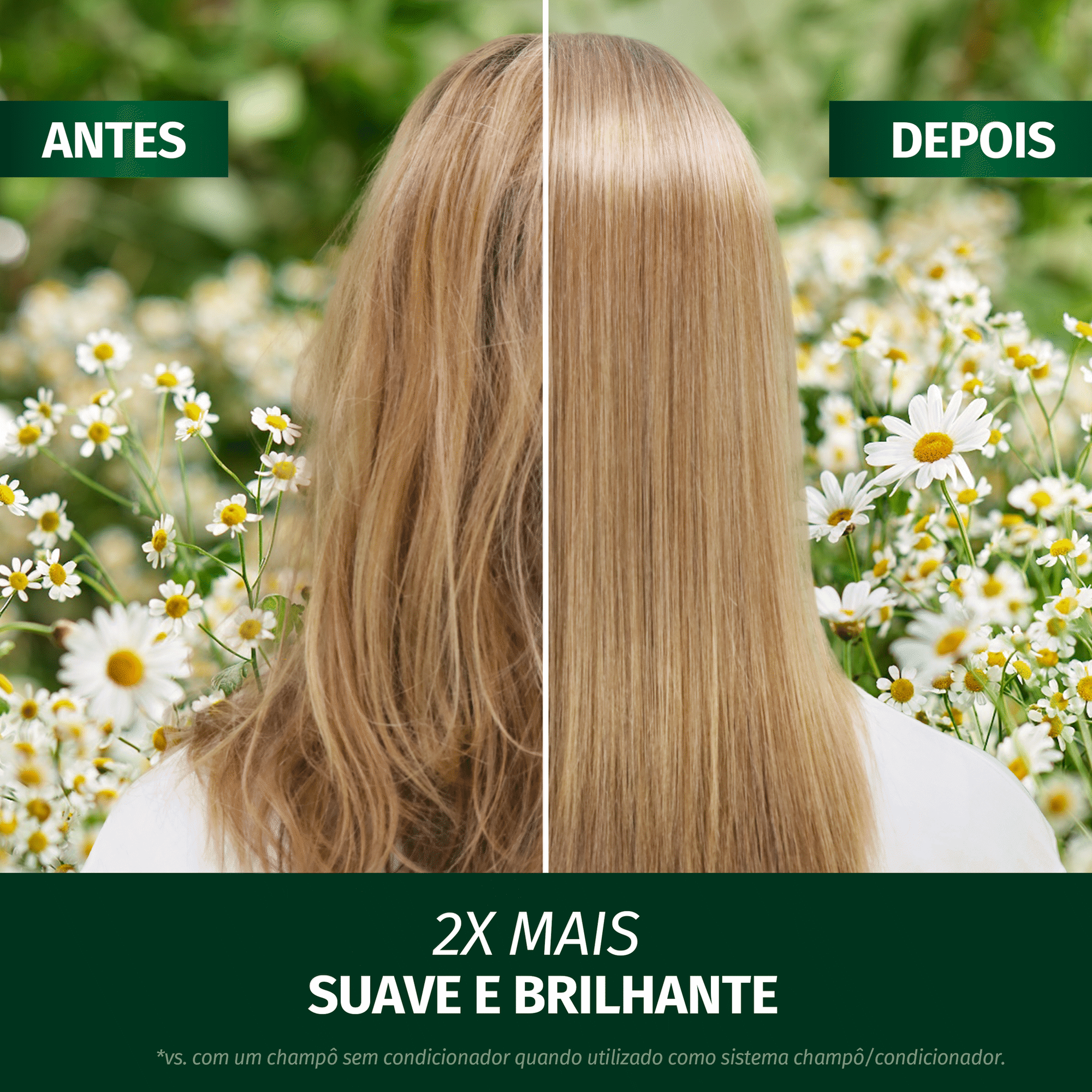 Champ&ocirc; Brilho Camomila Herbal Essences