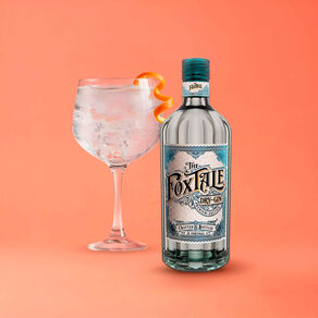 Cocktail Gin & Tonic Dry