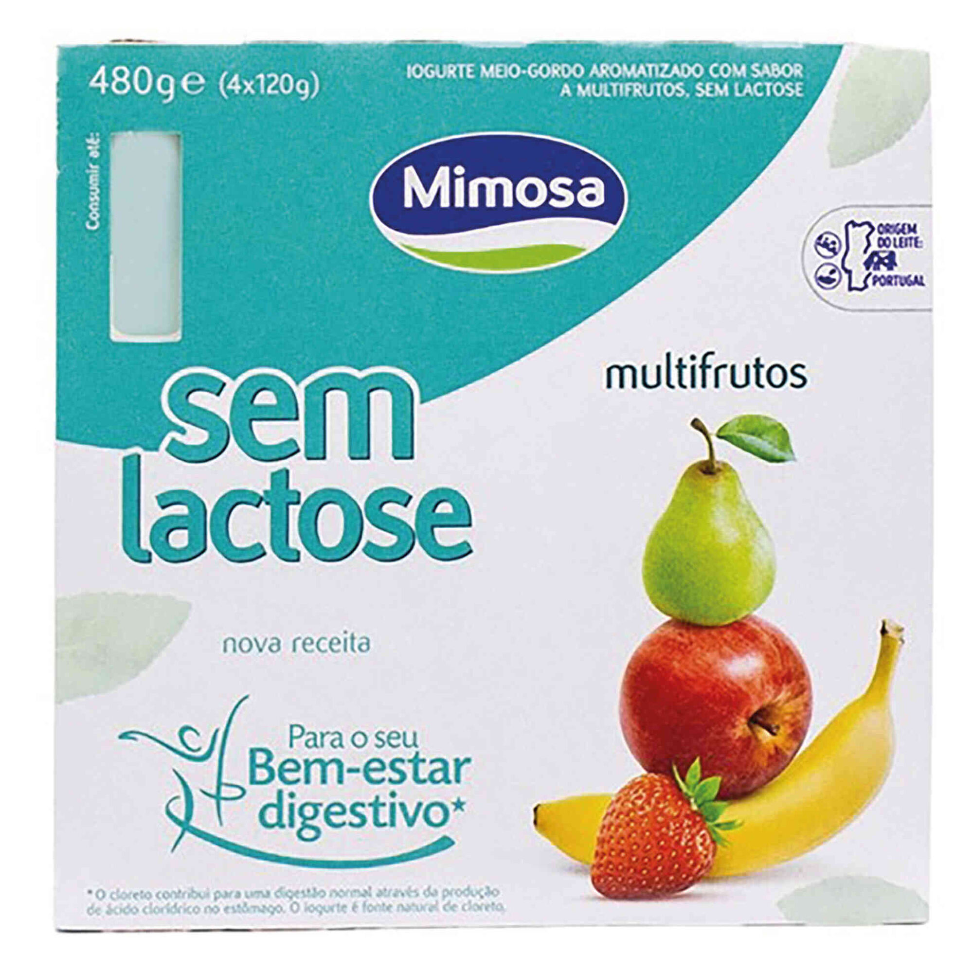 Iogurte Aroma Multifrutos sem Lactose