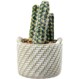 Vaso Entran&ccedil;ado com Cato Artificial Kasa