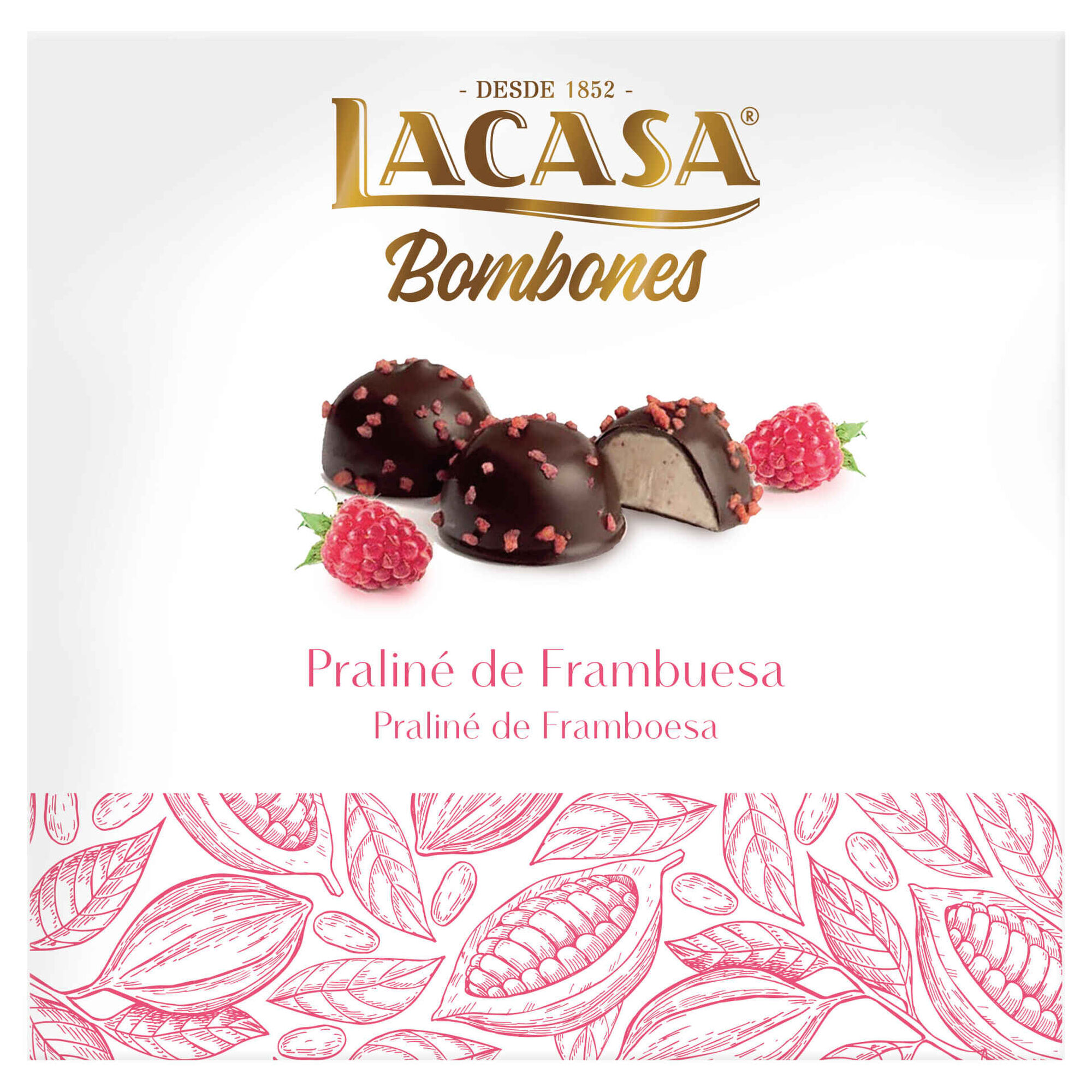 Bombons de Chocolate Negro com Framboesa Bombons de Chocolate Negro com Framboesa