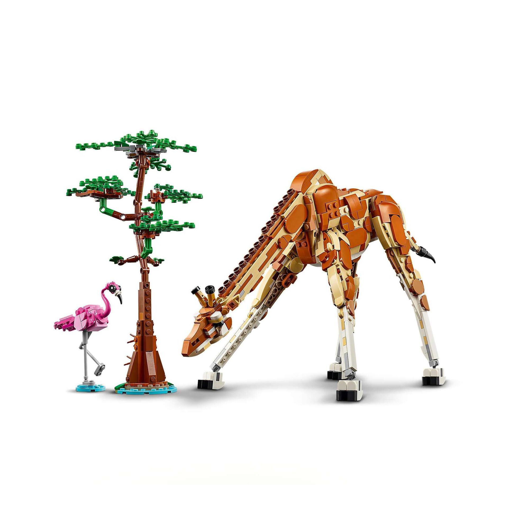 Animais Selvagens do Safari - 31150