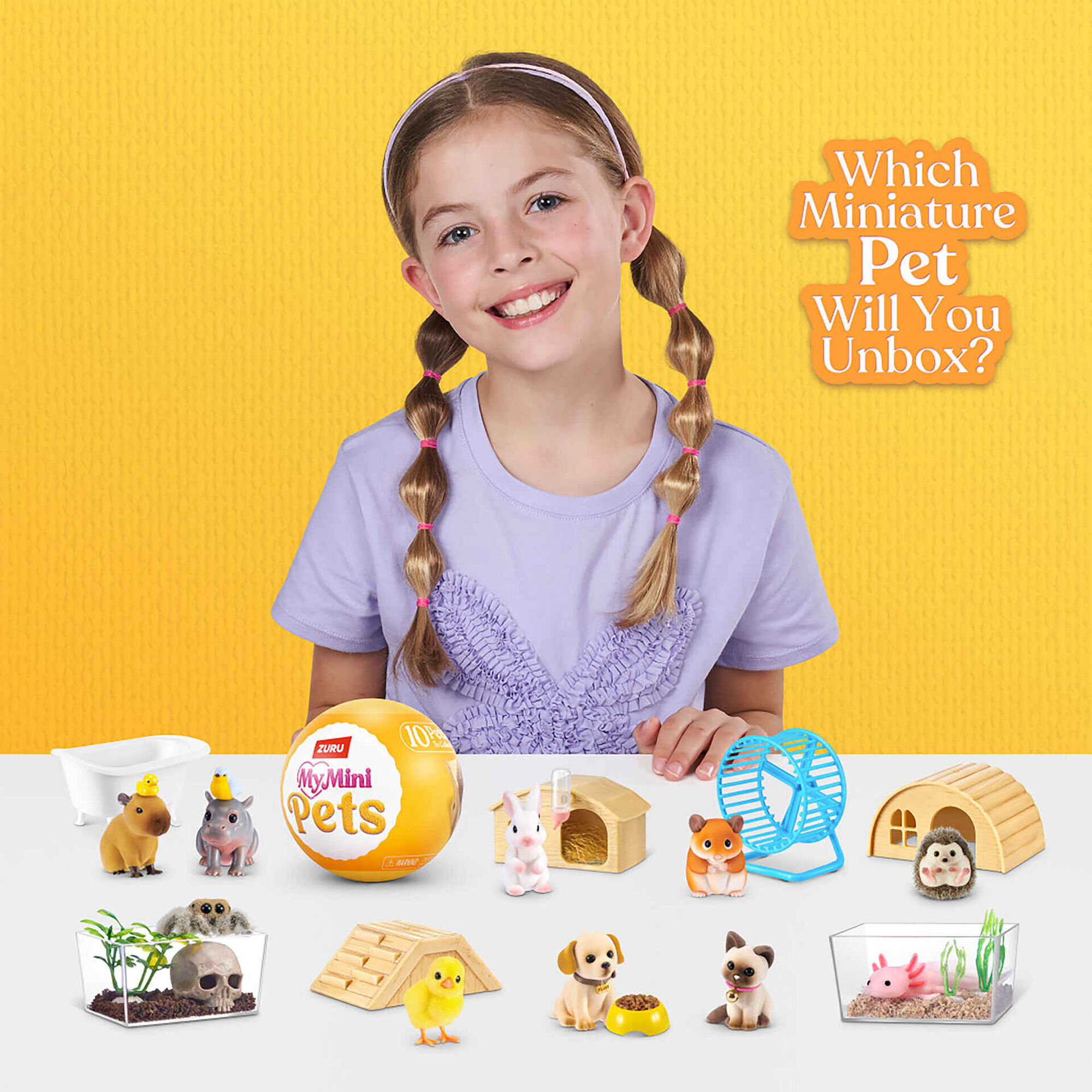 Concentra - My Mini Pets (v&aacute;rios modelos)