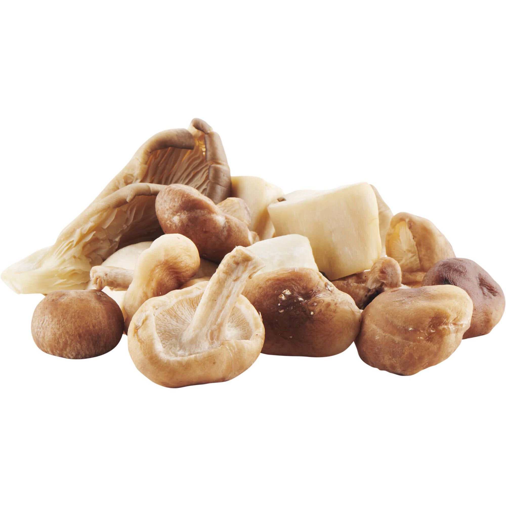 Mistura de Cogumelos Sublime