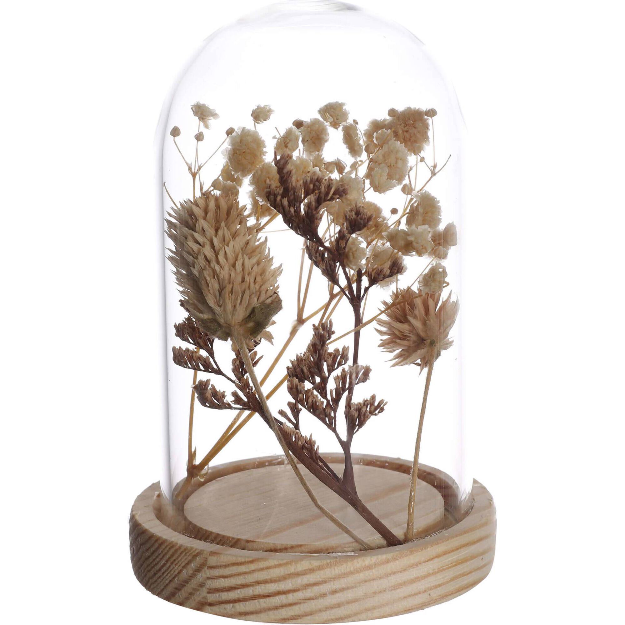 Globo Flores Secas 11cm