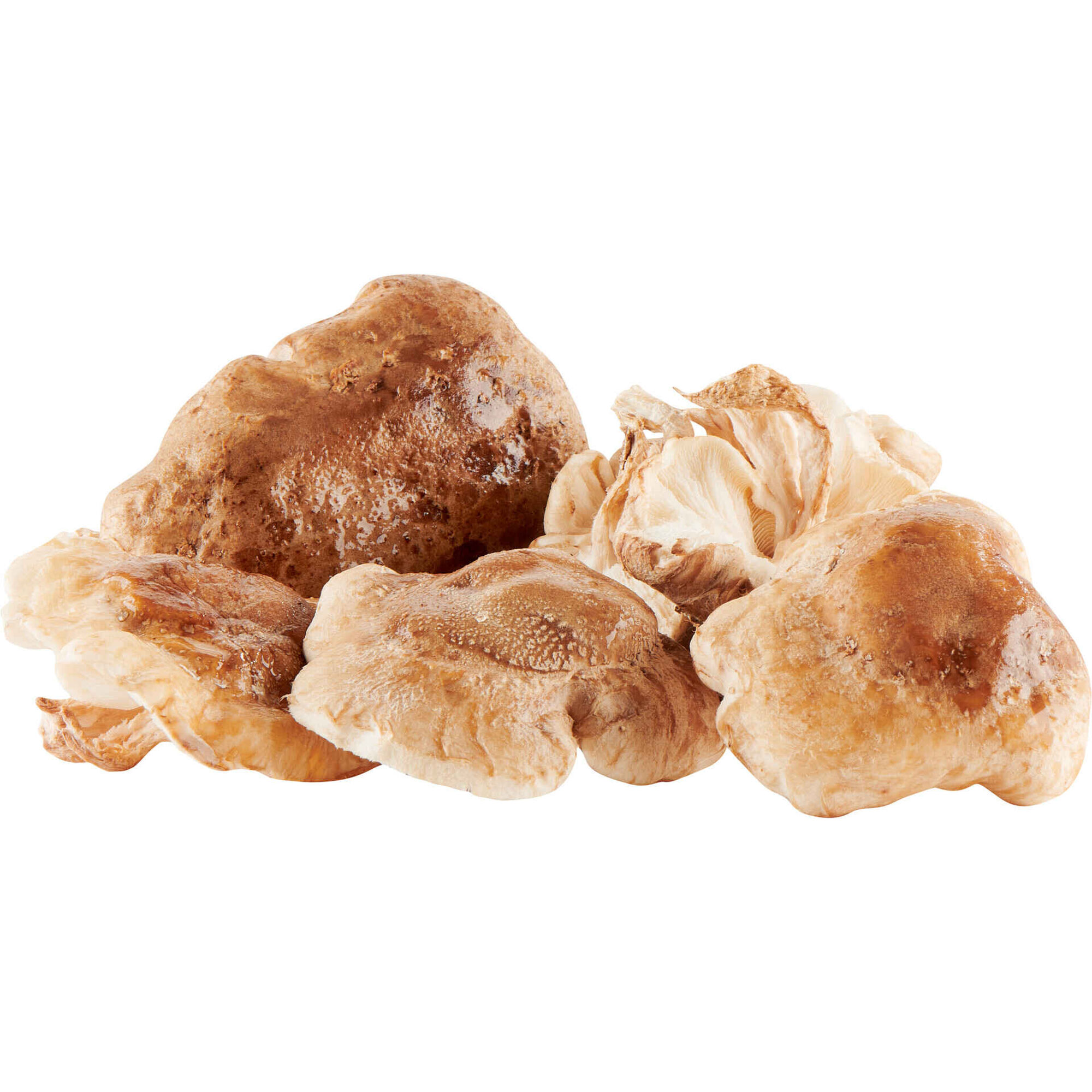 Cogumelo Shitake Nam