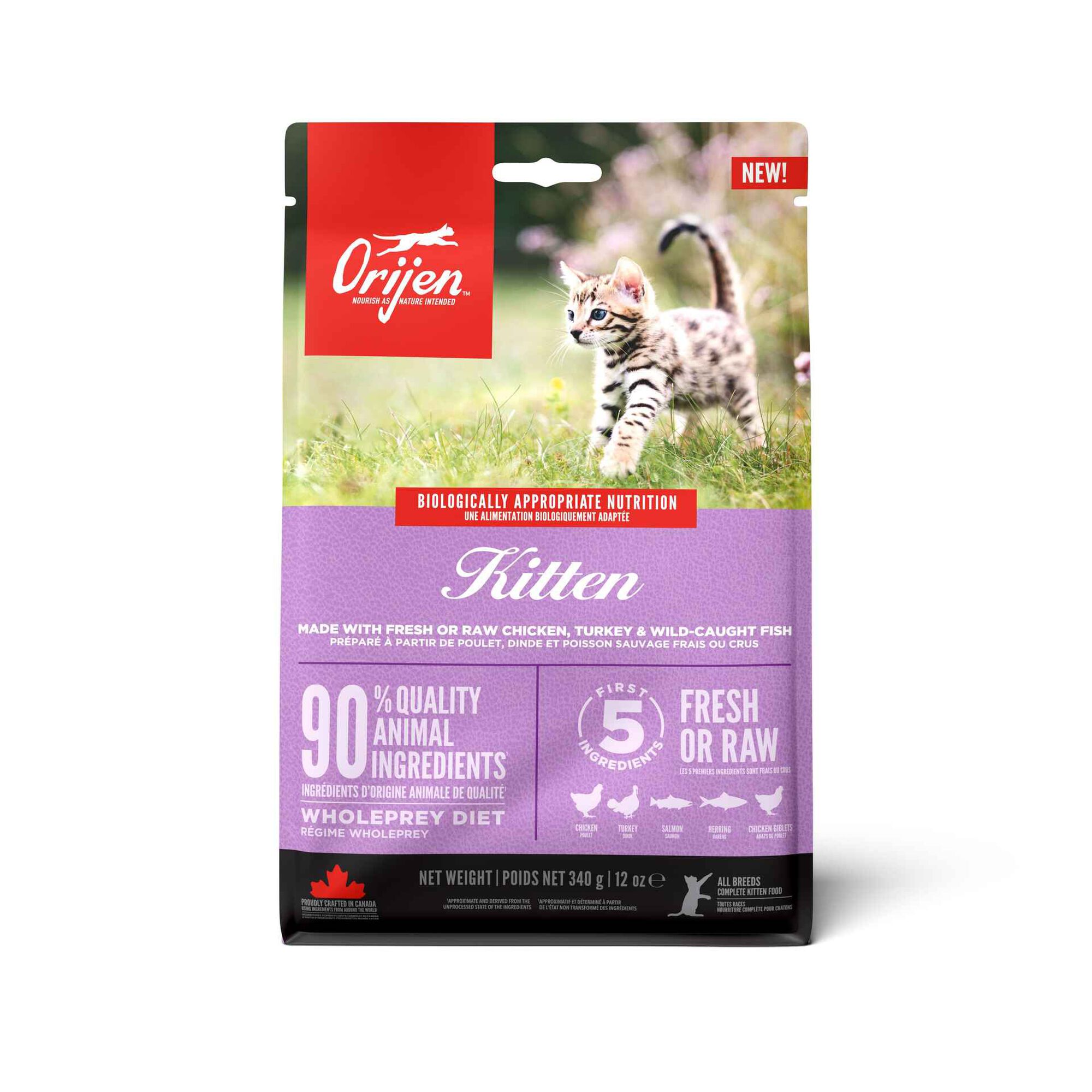 Ra&ccedil;&atilde;o para Gato J&uacute;nior Orijen