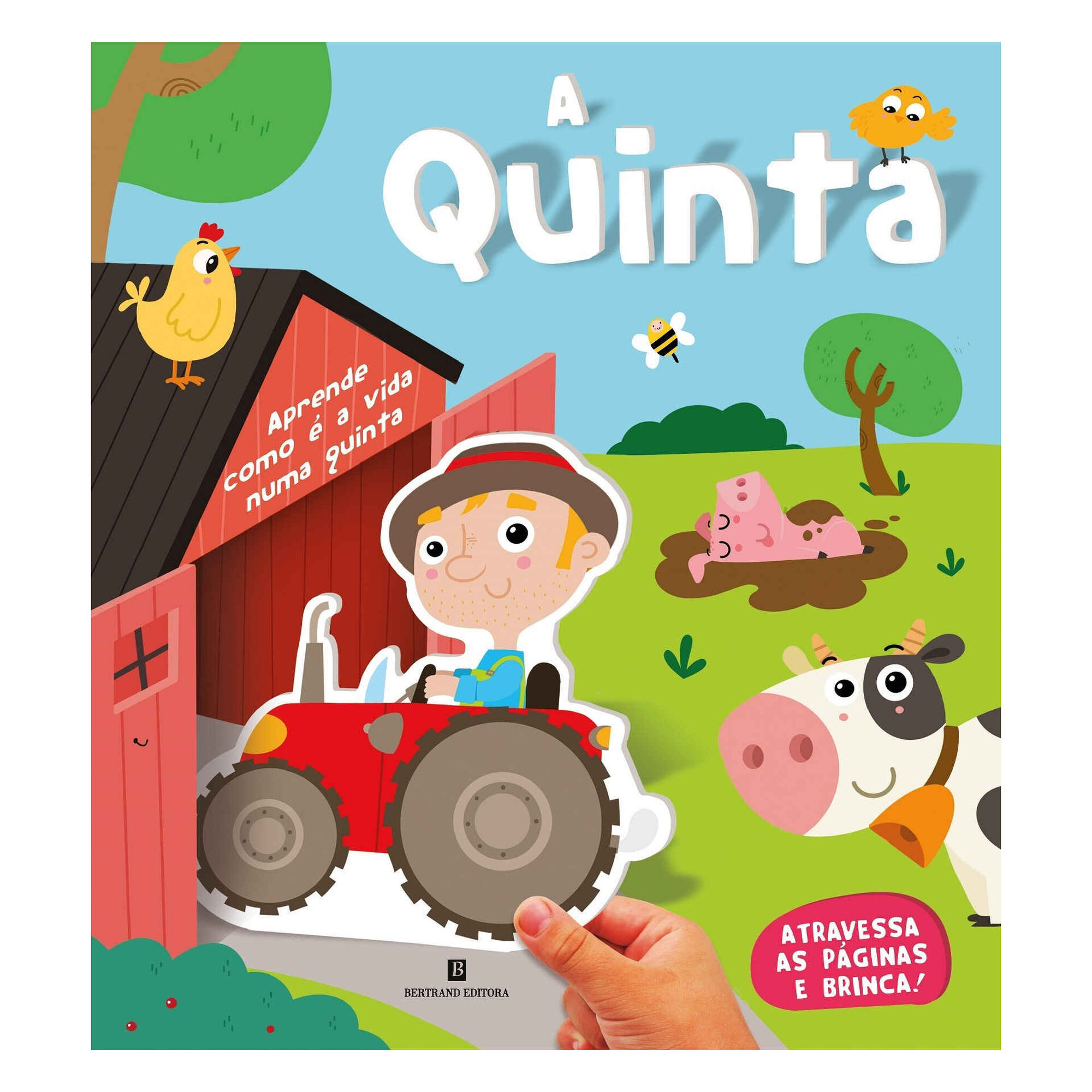 A Quinta