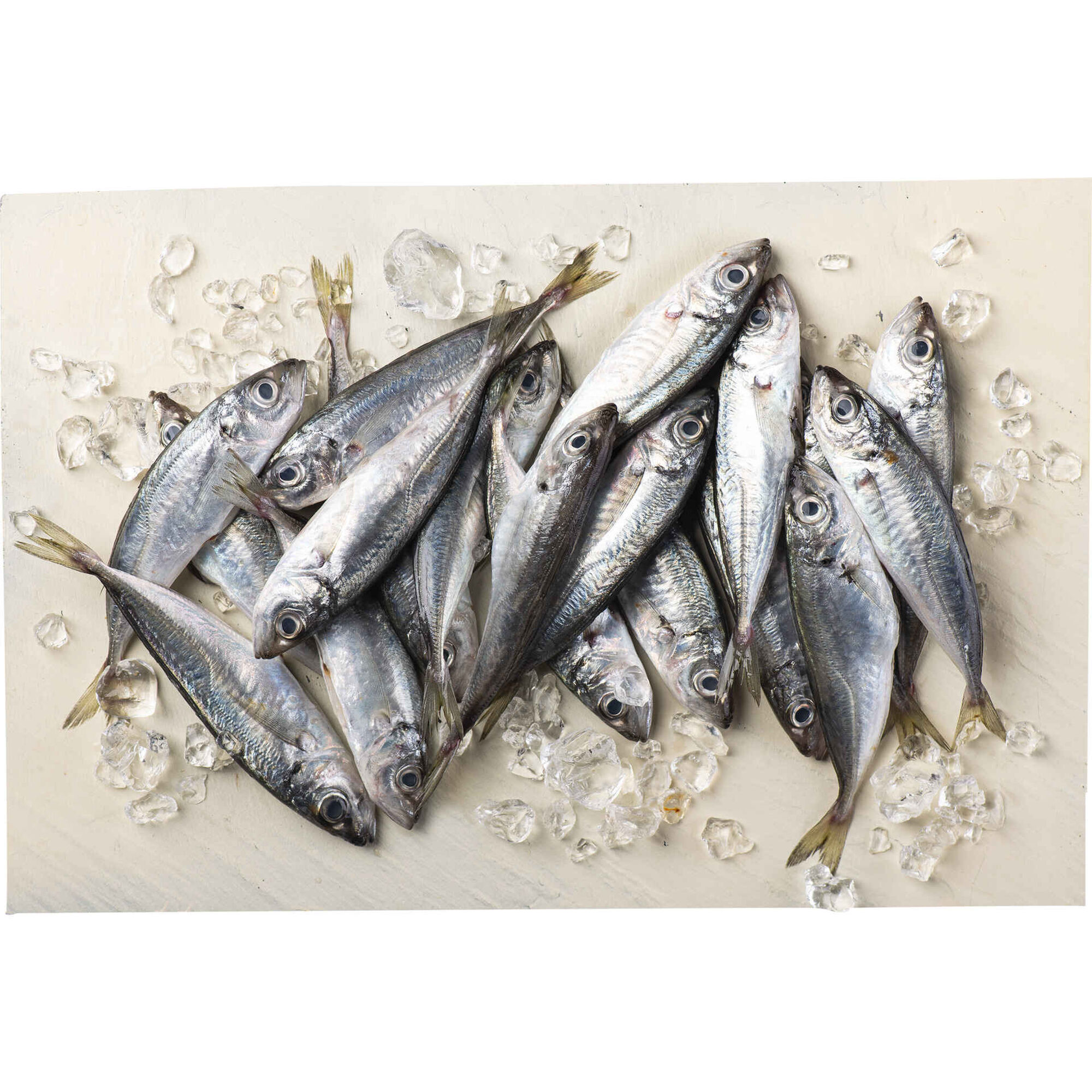 Carapau Pelim Congelado