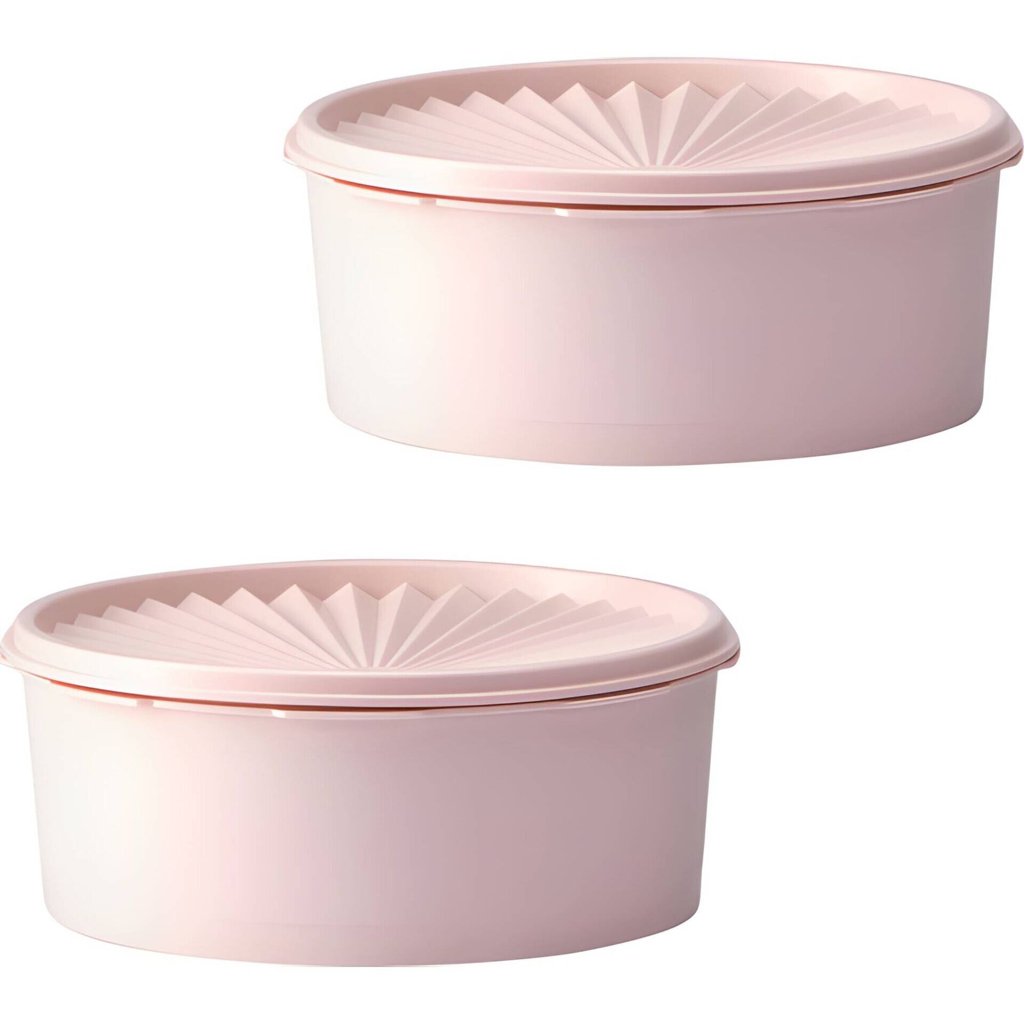 Conjunto de 2 Recipientes de Armazenamento Tupperware