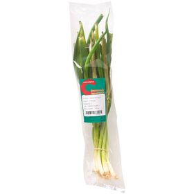 Cebolinha Fresca Cebolinha Fresca