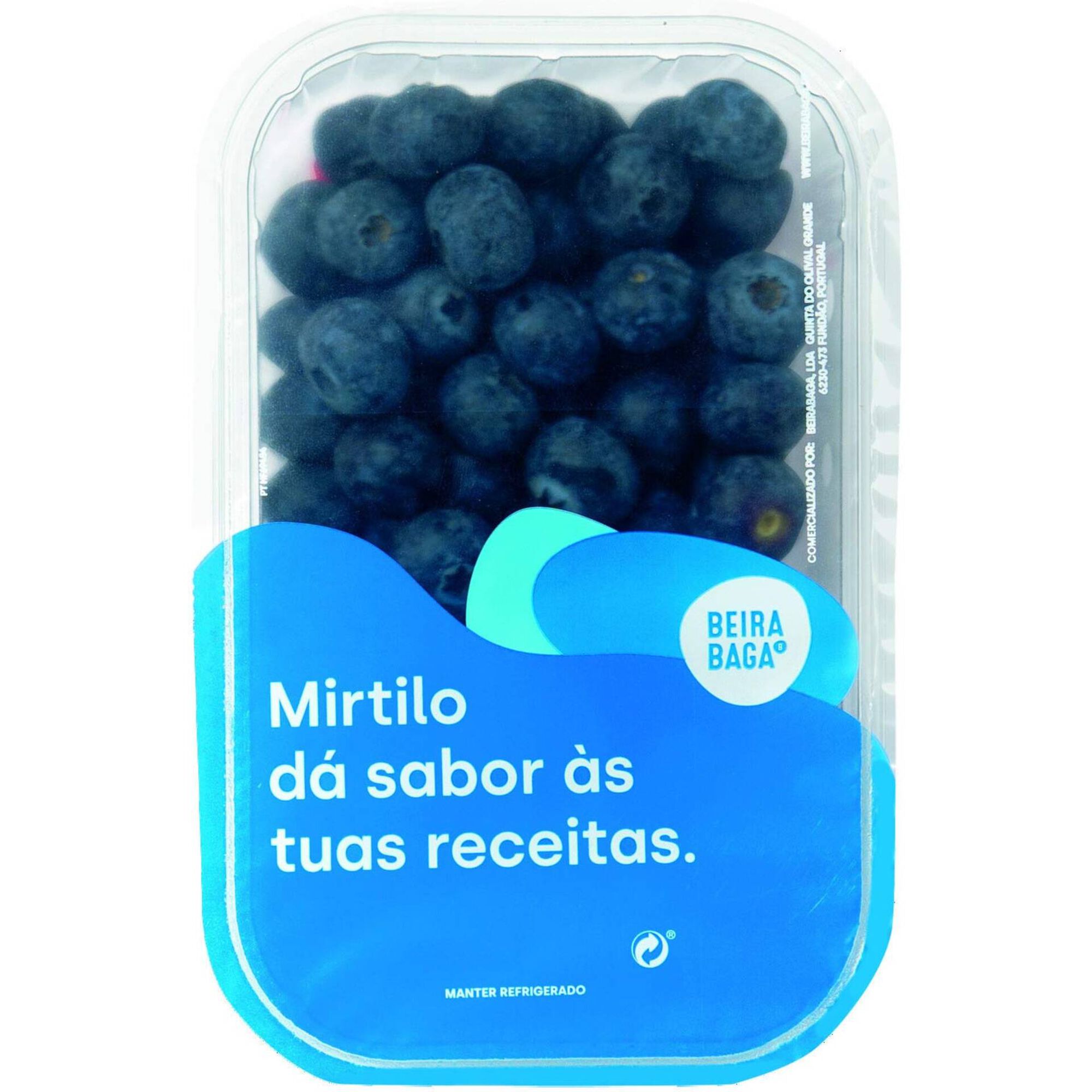 Mirtilo