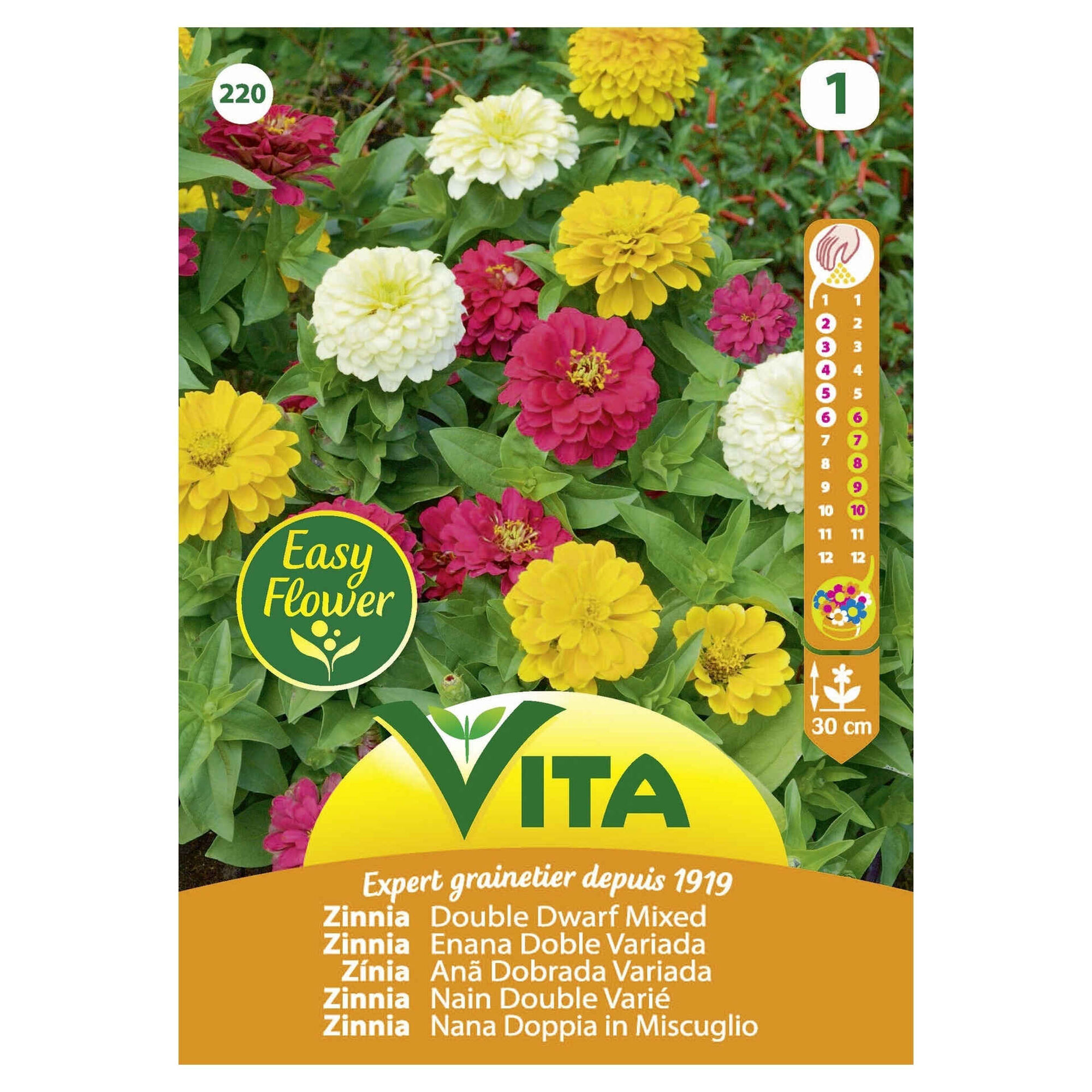 Sementes Florais Zinia Ana Mistura