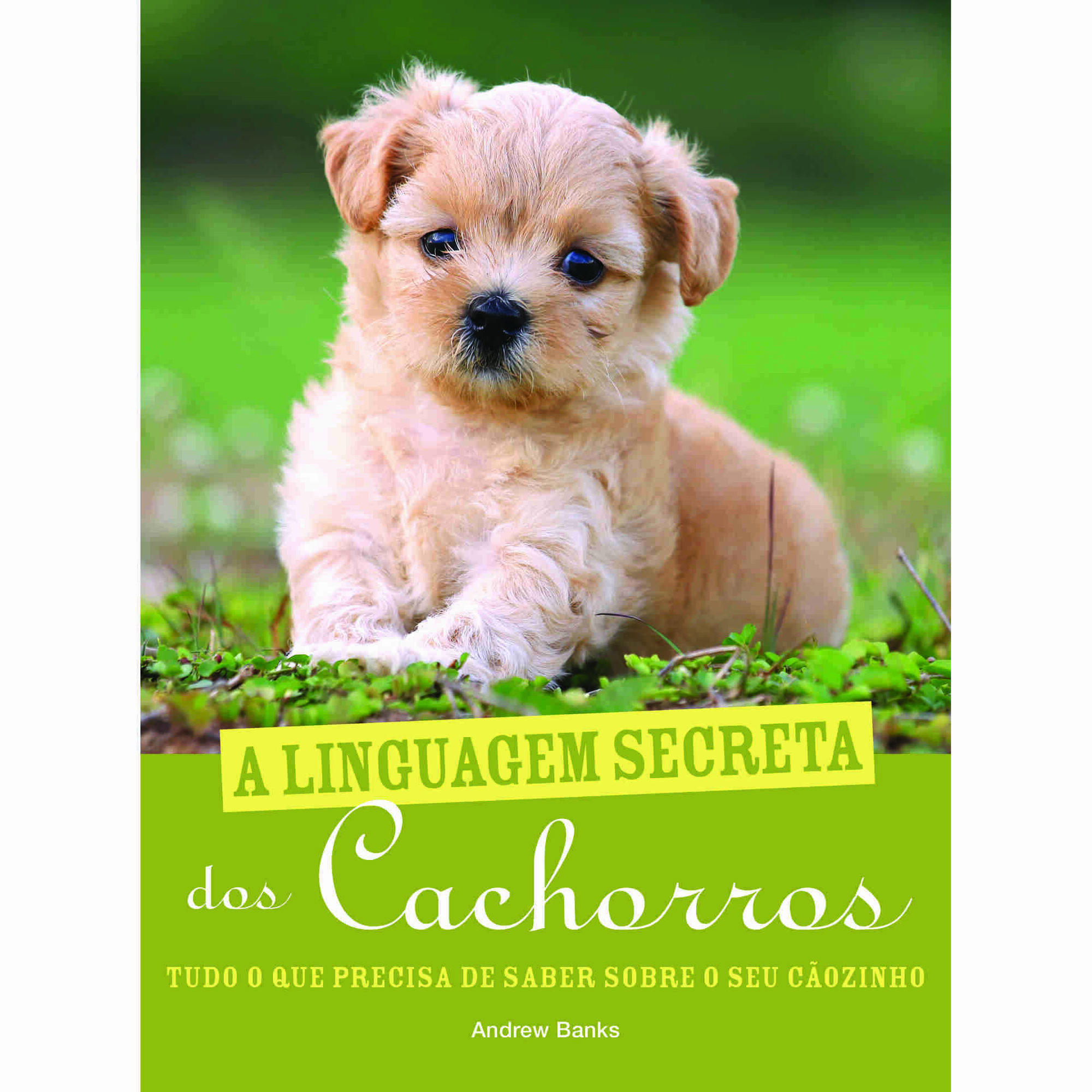 A Linguagem Secreta dos Cachorros de Andrew Banks