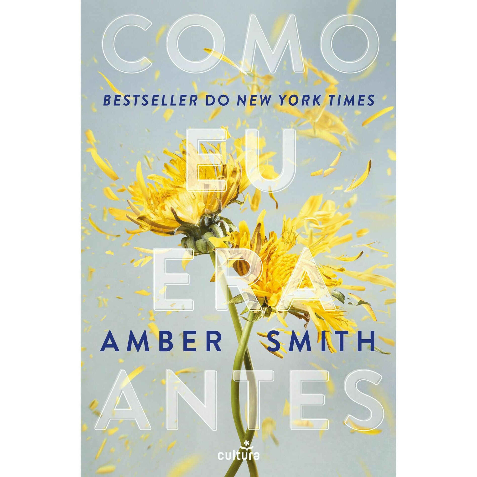 Como eu Era Antes de Amber Smith