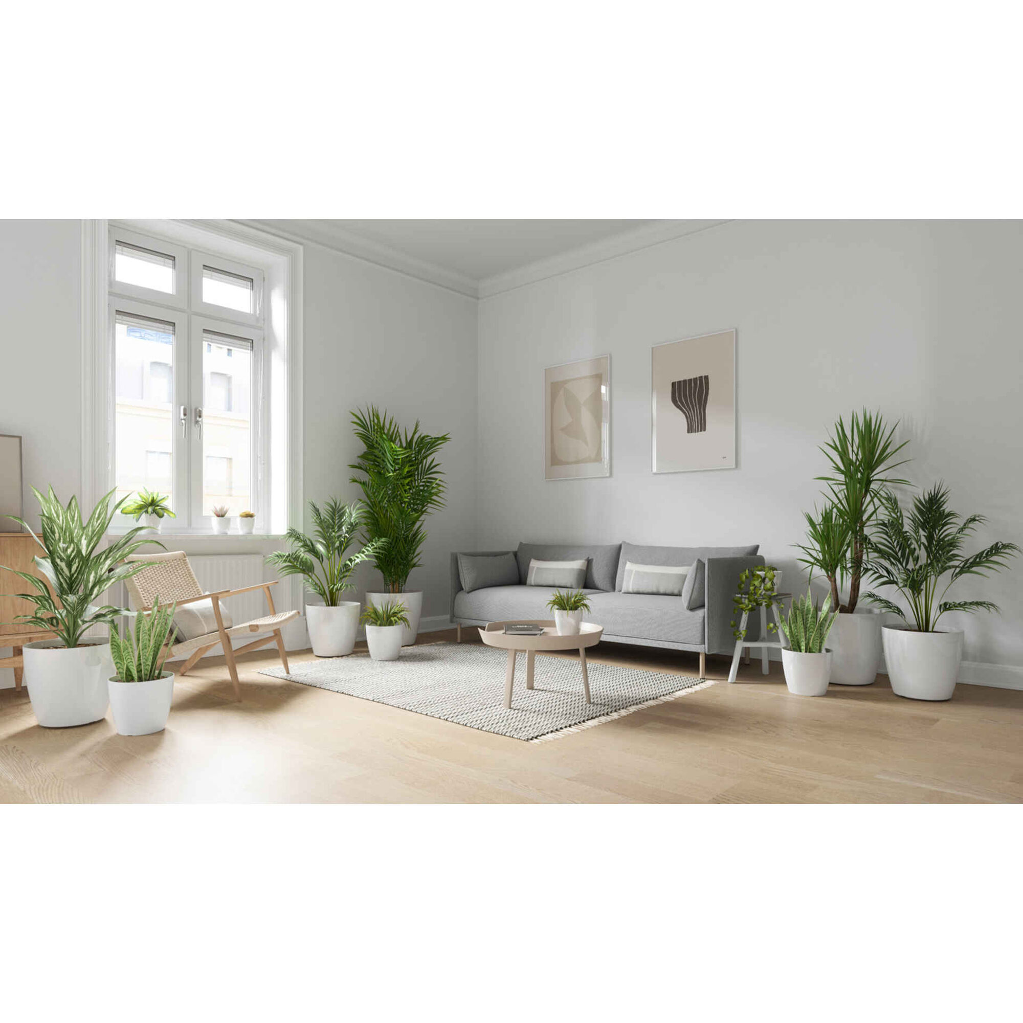 Vaso Redondo Plástico 12cm Transparente