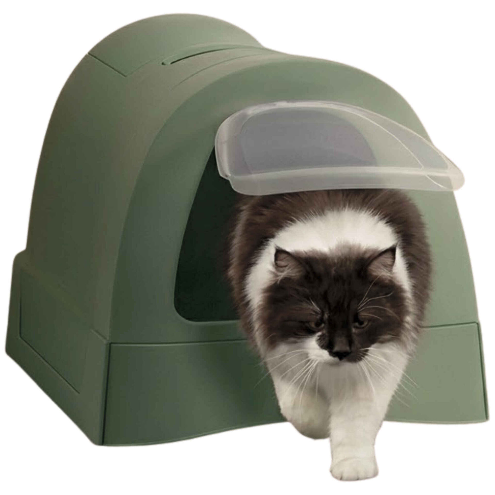 Caixa de Areia para Gato Verde Imac