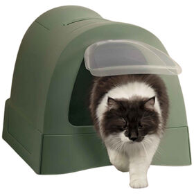 Caixa de Areia para Gato Verde Imac