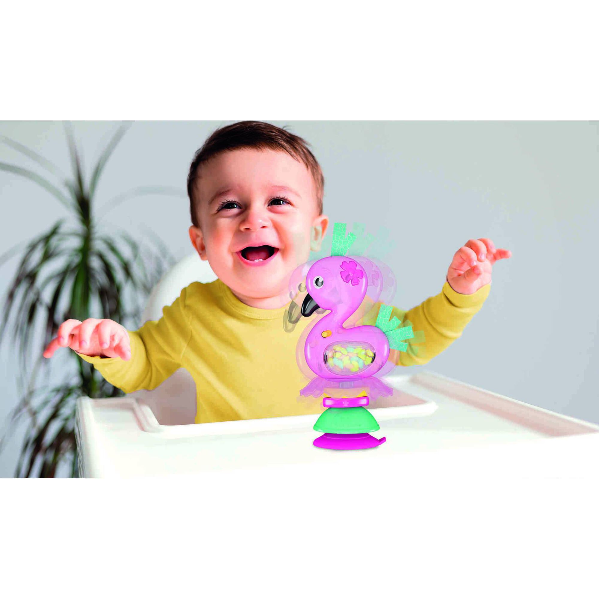 Roca Eletrónica (vários modelos)