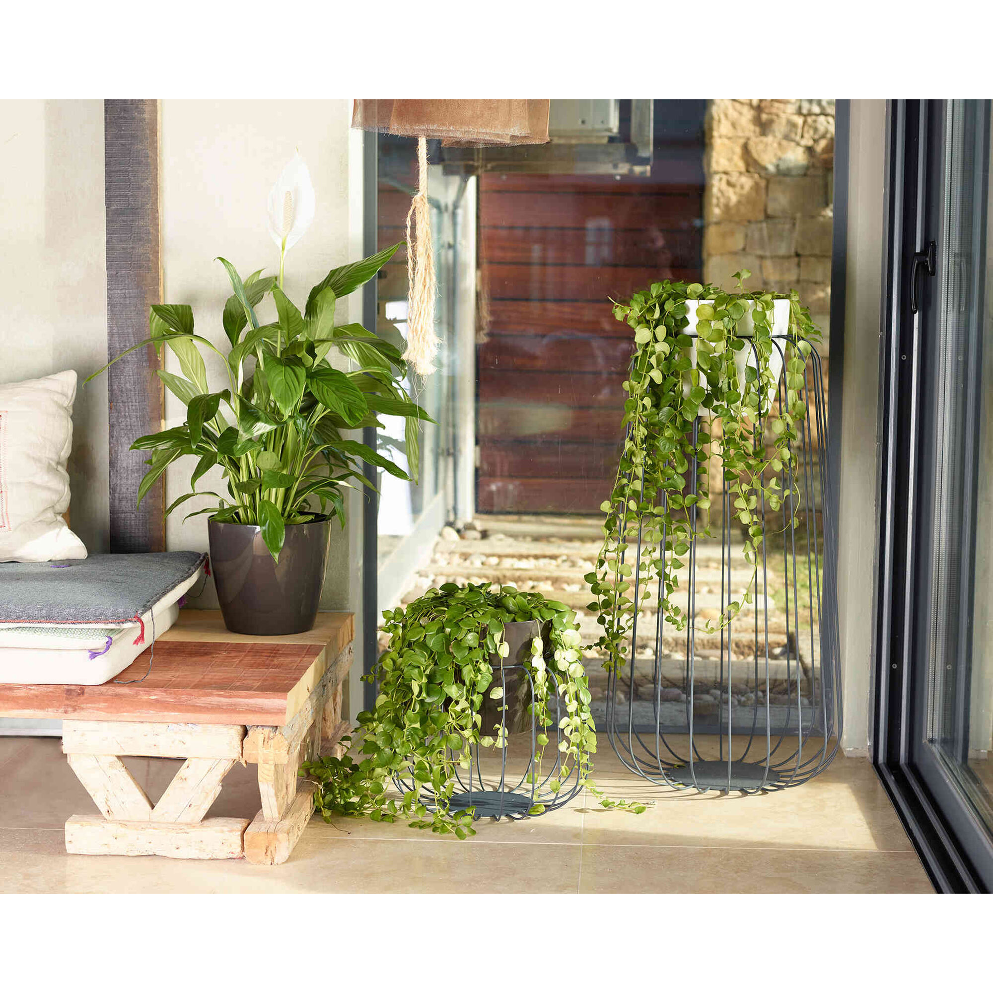 Vaso Redondo Plástico 12cm Transparente