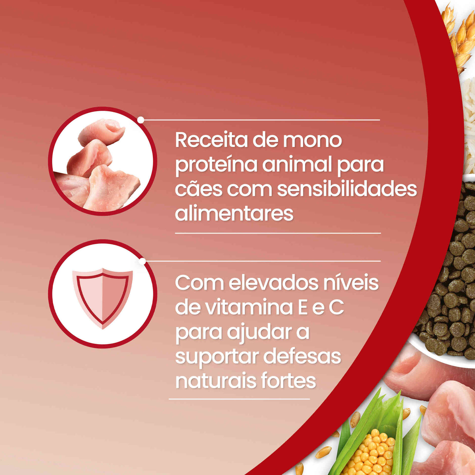 Ra&ccedil;&atilde;o para C&atilde;o Adulto Monoprote&iacute;na Purina One Mini