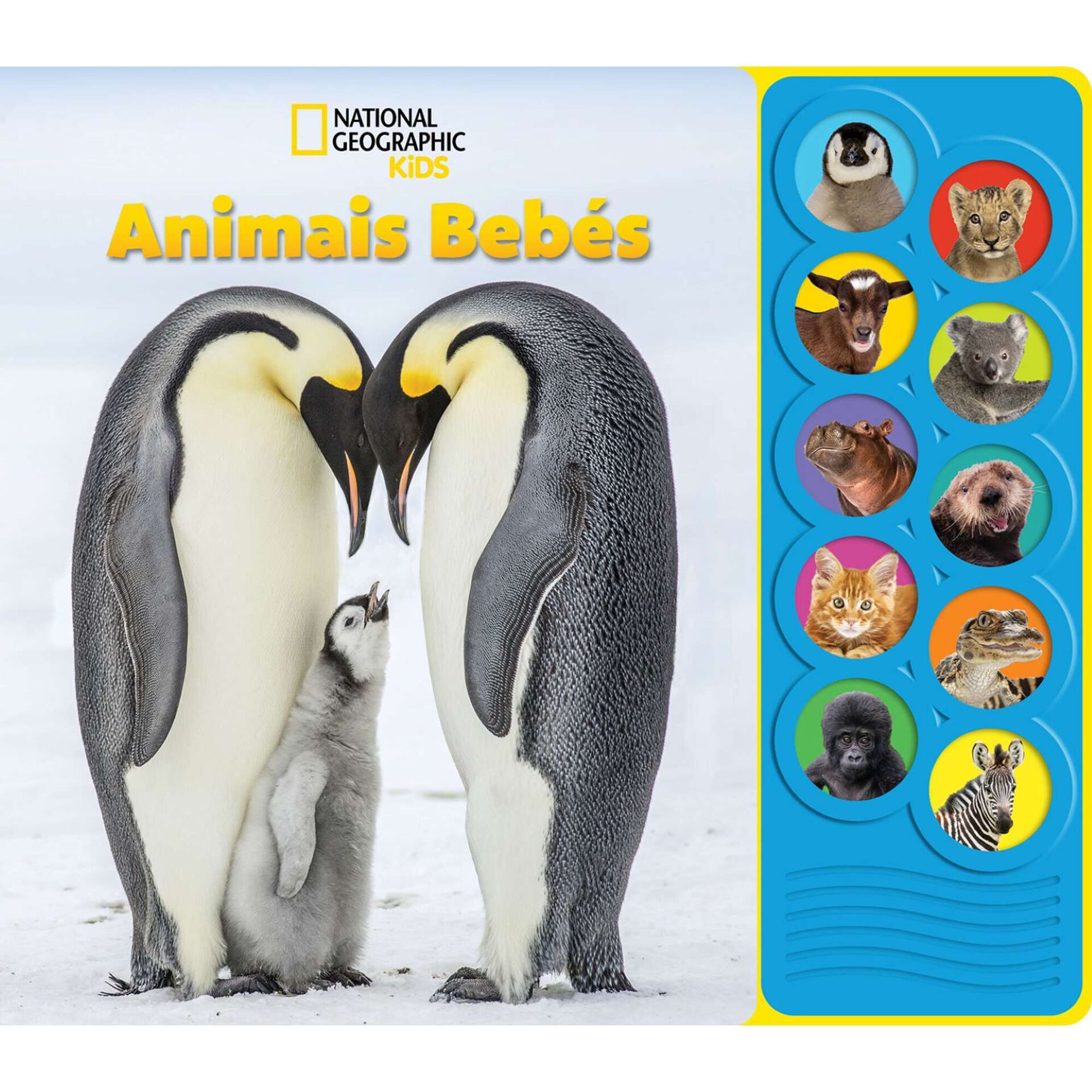 Animais Beb&eacute;s