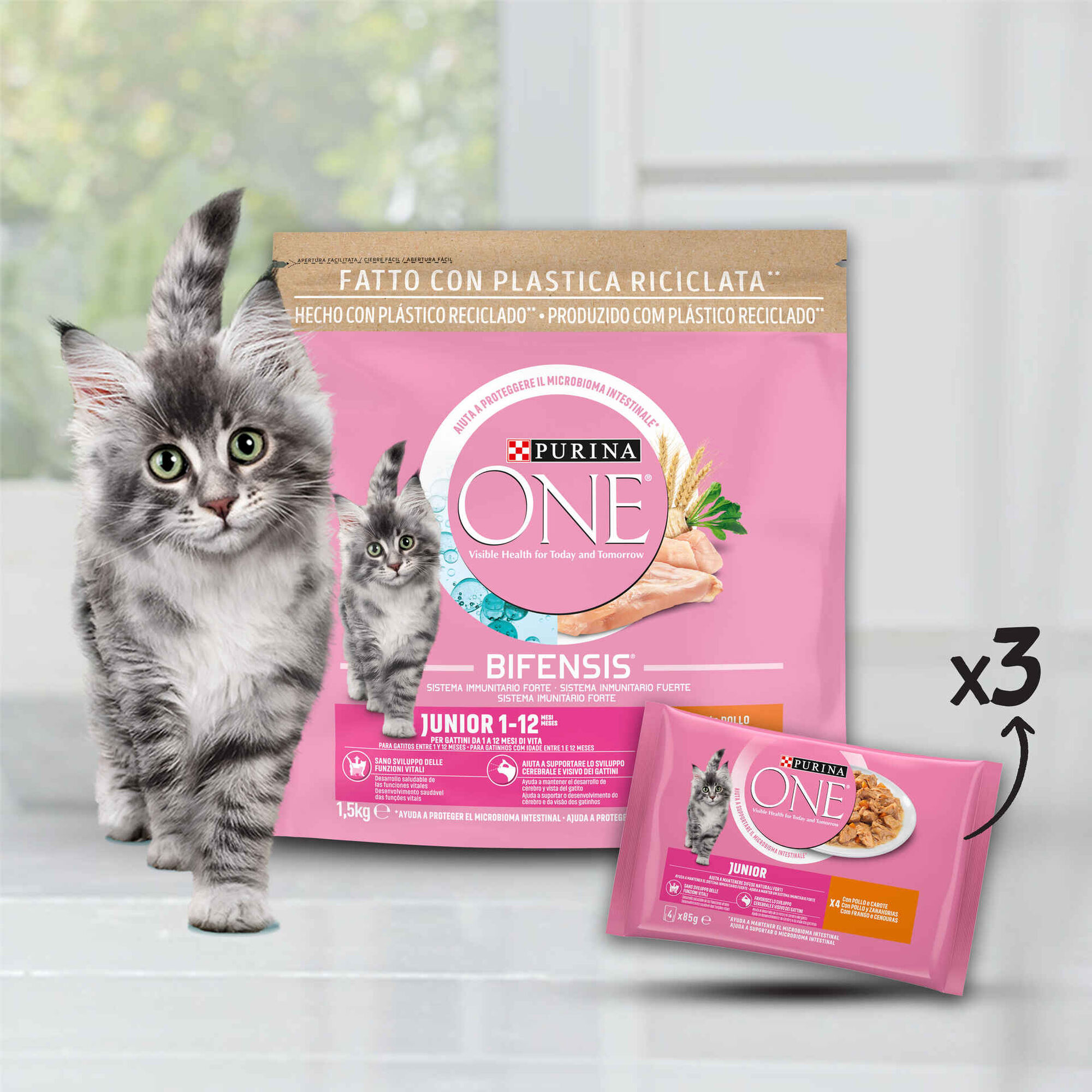 Kit de Alimentação para Gato Kitten
