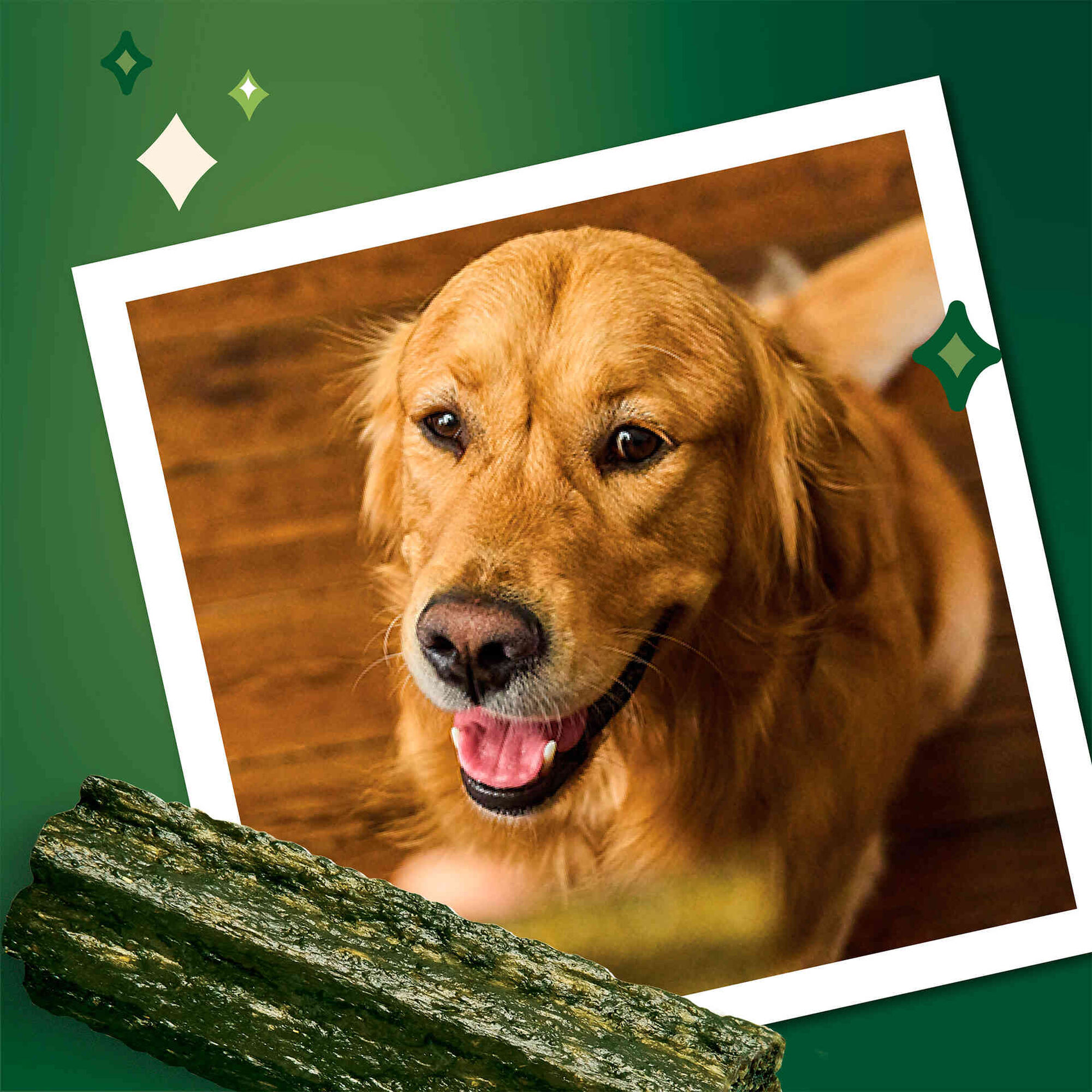 Snack para C&atilde;o Adulto M&eacute;dio Woofbrush Dental Chew Lily's Kitchen