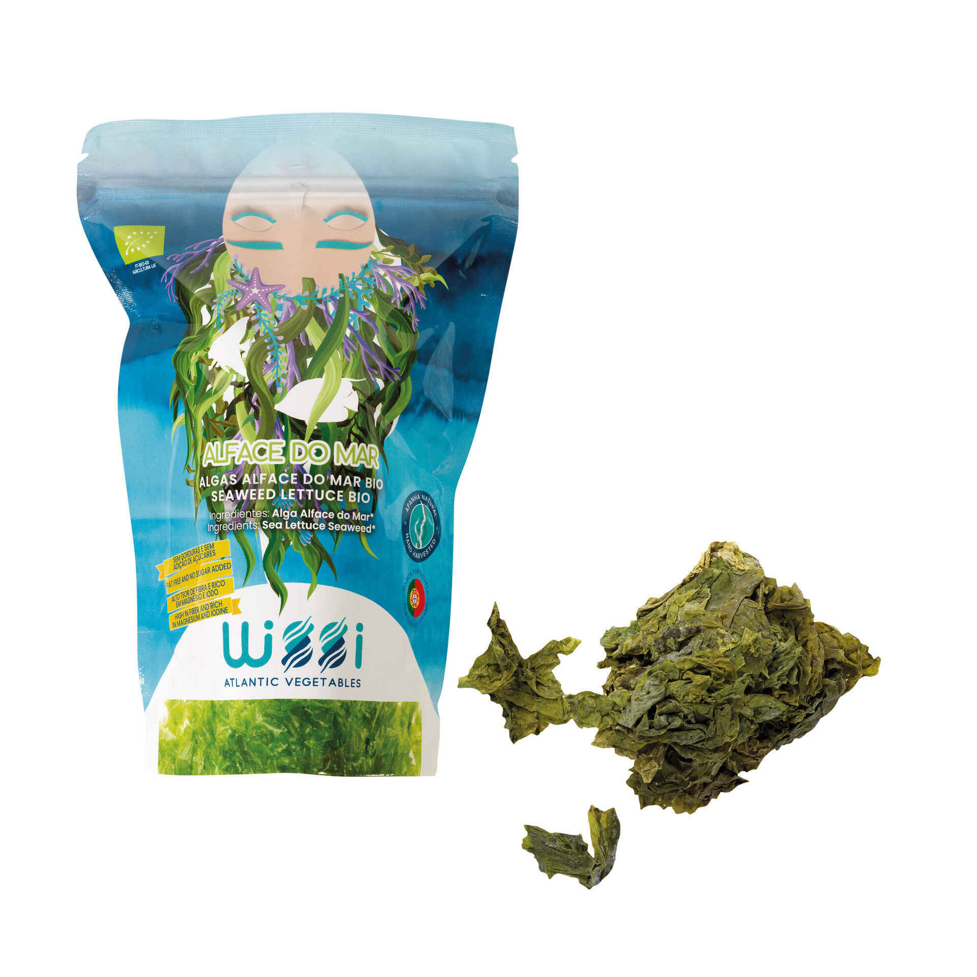 Algas Alface do Mar Biológicas