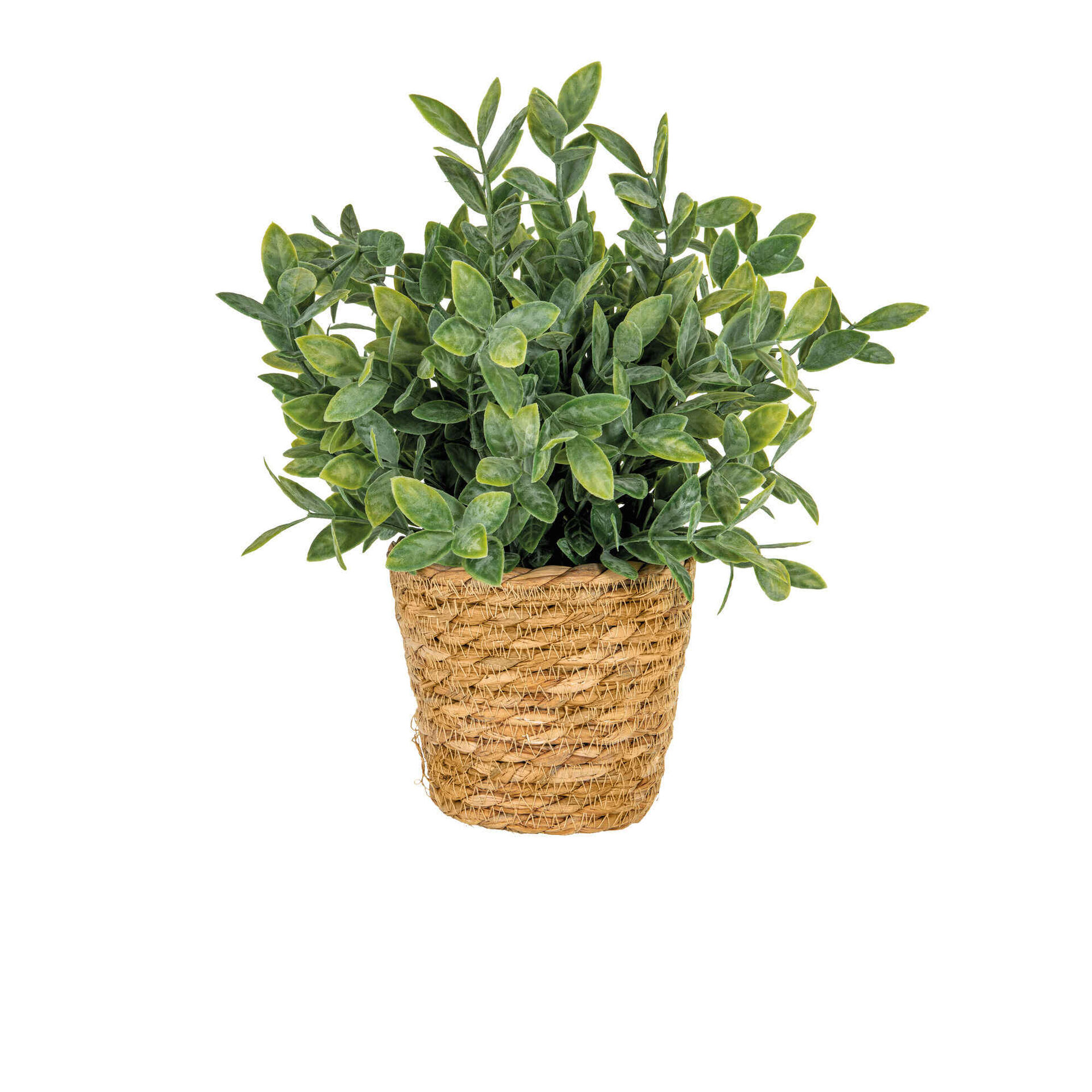Planta Artificial Planta Chá com Vaso Seagrass Planta Artificial Planta Chá com Vaso Seagrass