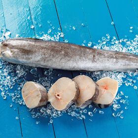 Pescada Grande do Chile Congelada