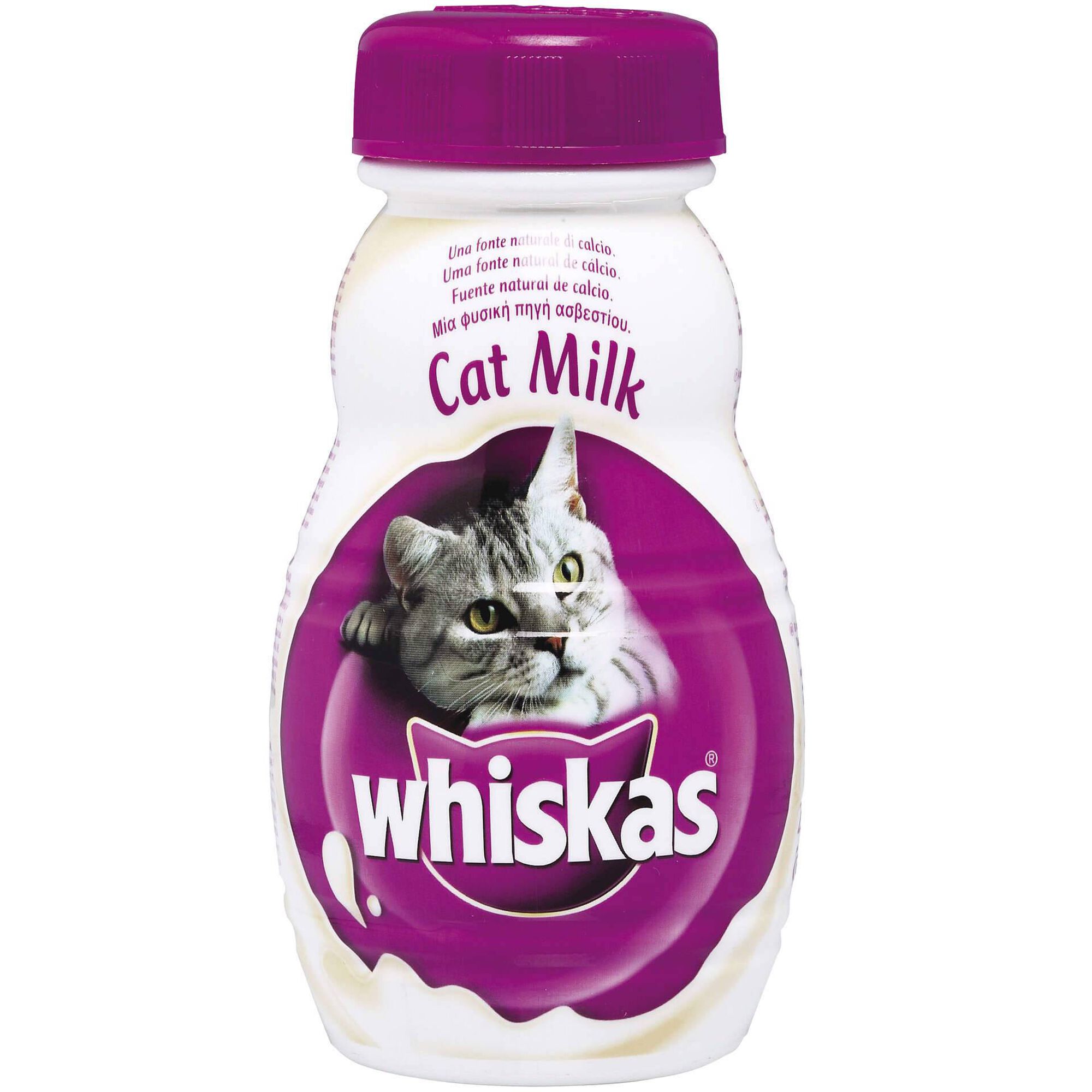 Leite para Gato Júnior Leite para Gato Júnior