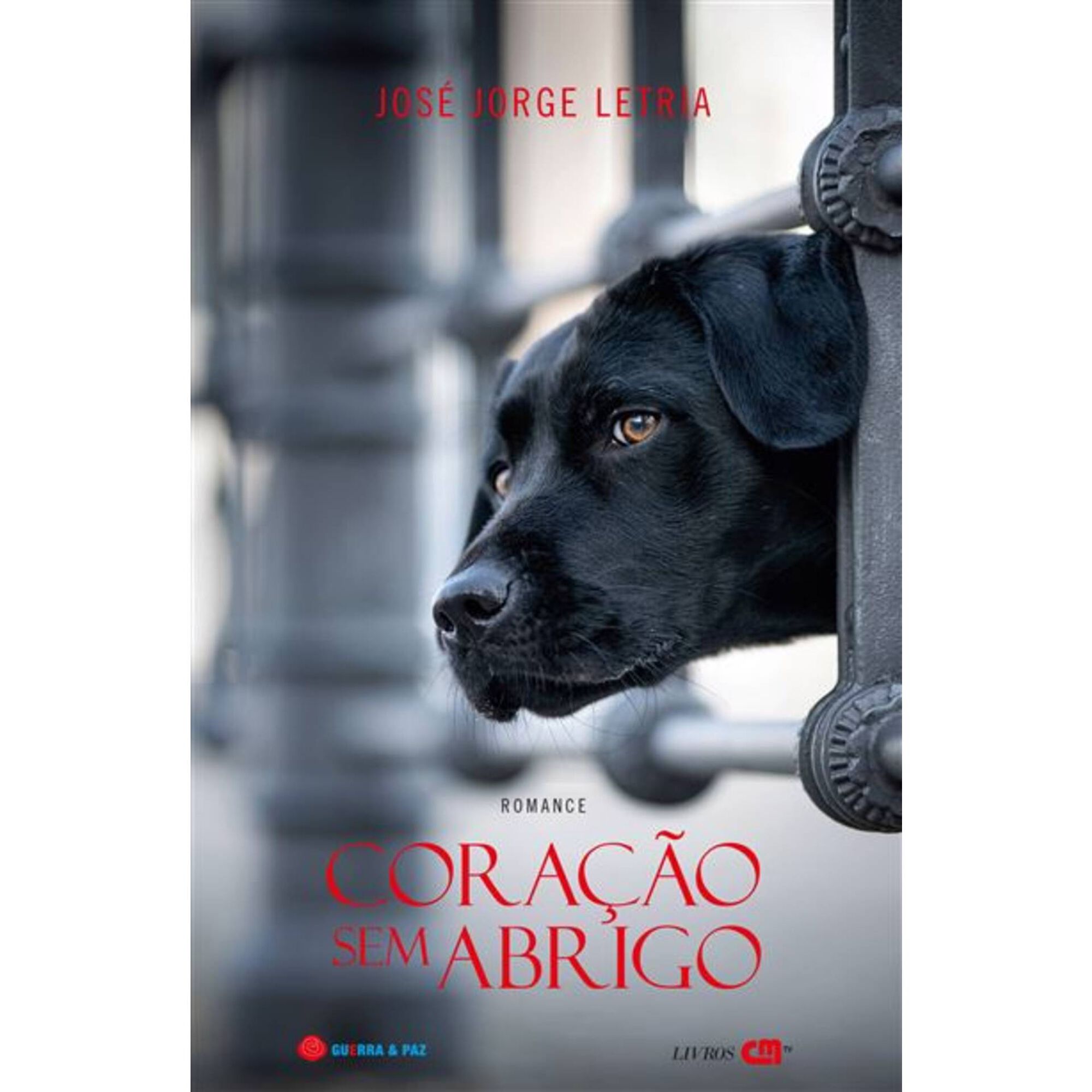 Coração sem Abrigo