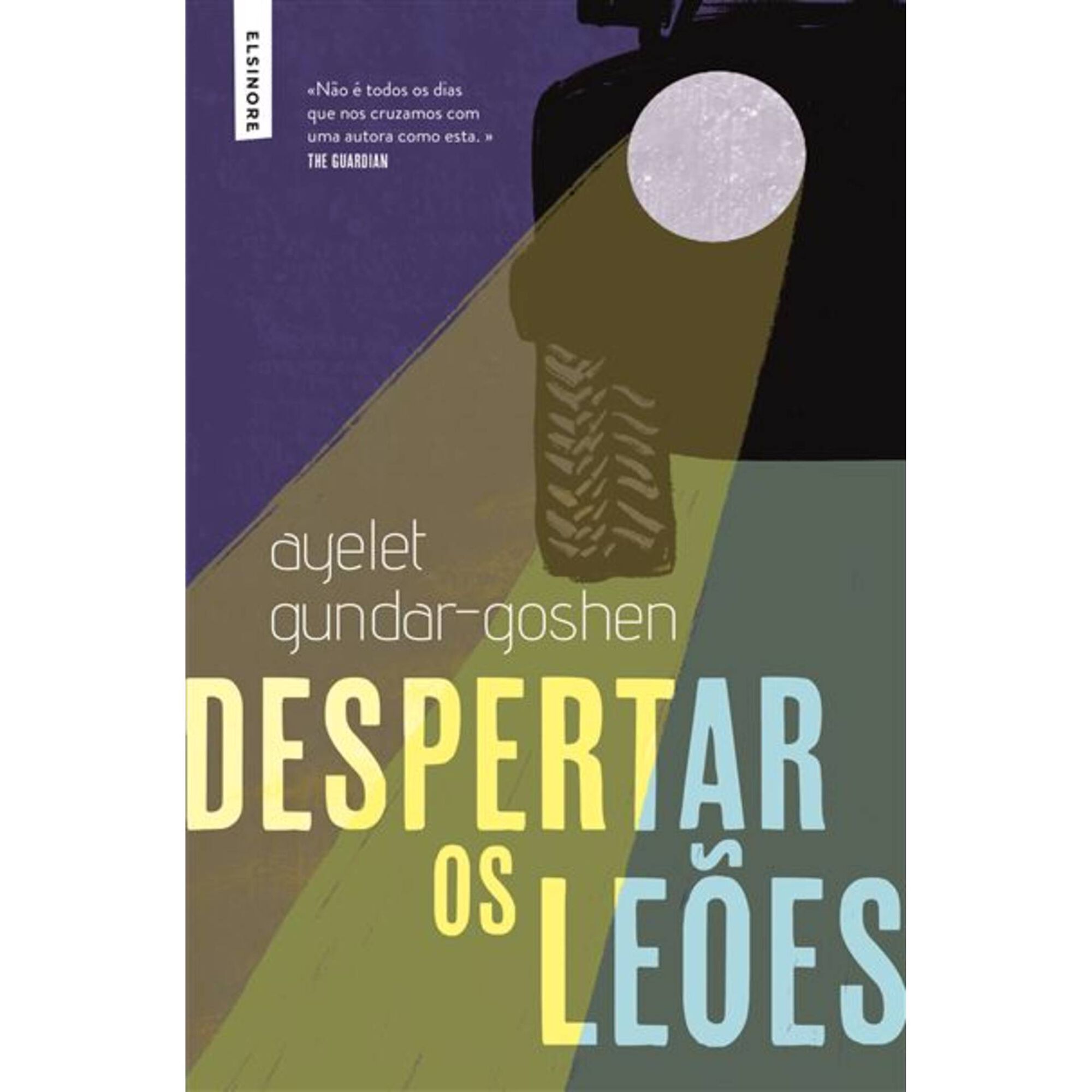Despertar os Le&otilde;es de Ayelet Gundar-Goshen