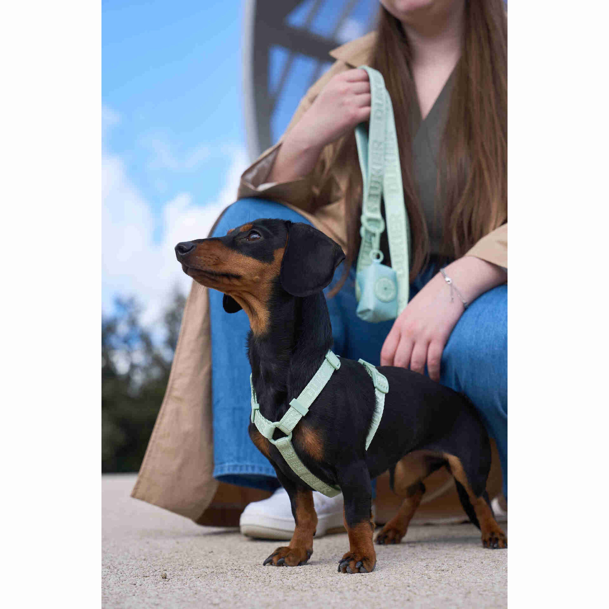 Arn&ecirc;s para C&atilde;o Essentials Soft Green S Dukier