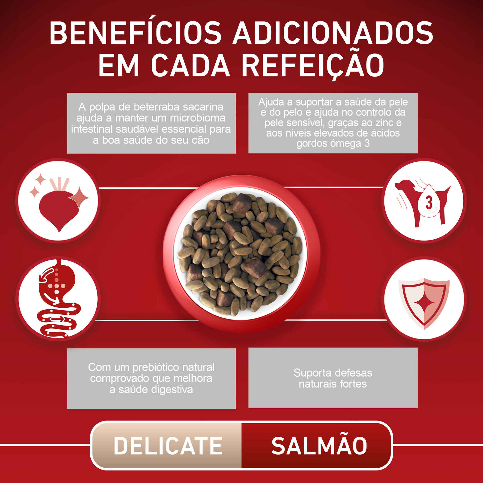 Ração para Cão Adulto Mini Delicate Salmão e Arroz