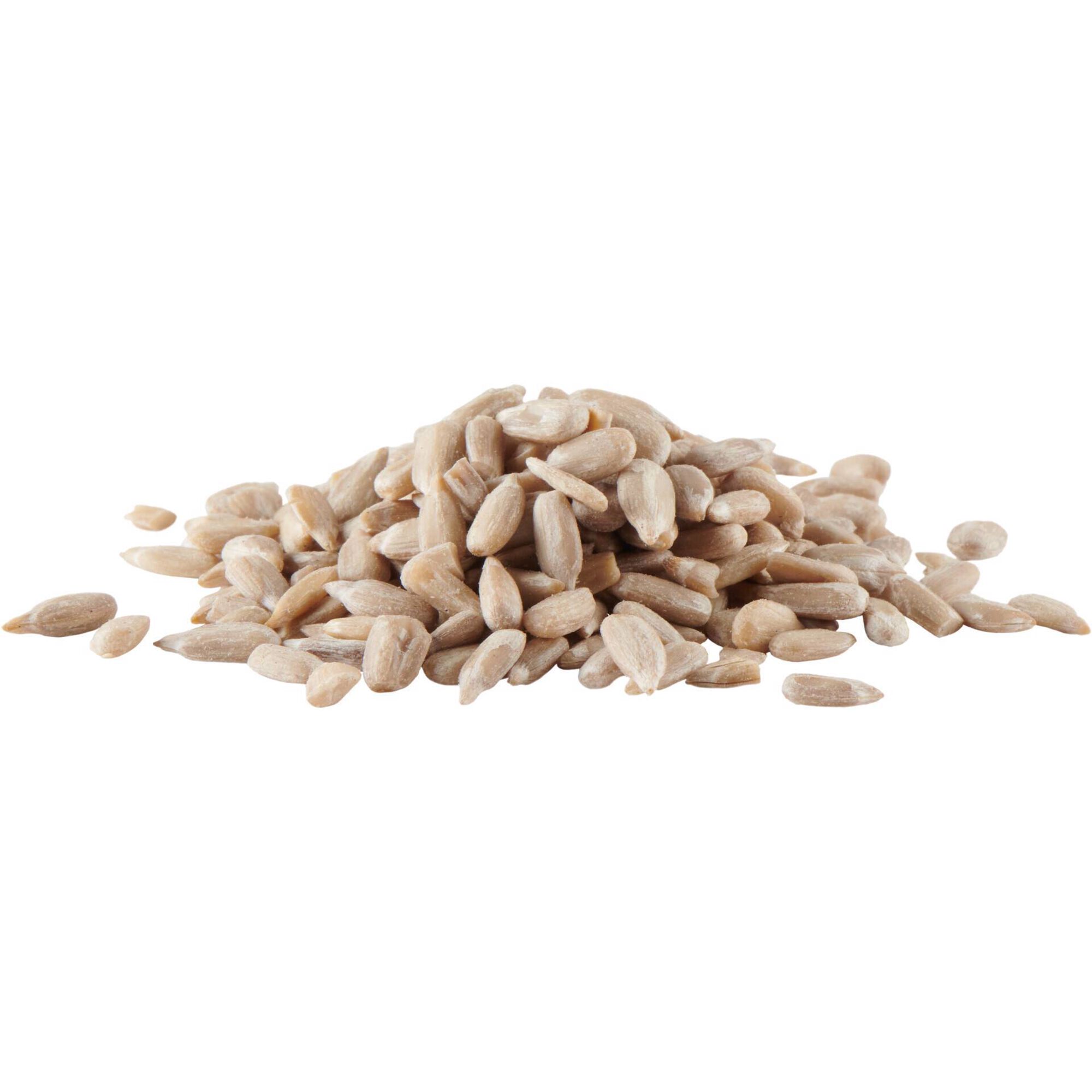 Sementes de Girassol Sementes de Girassol