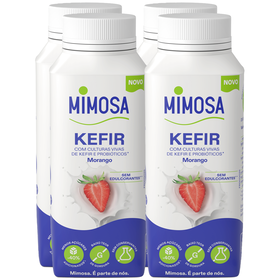 Iogurte Kefir Morango Iogurte Kefir Morango