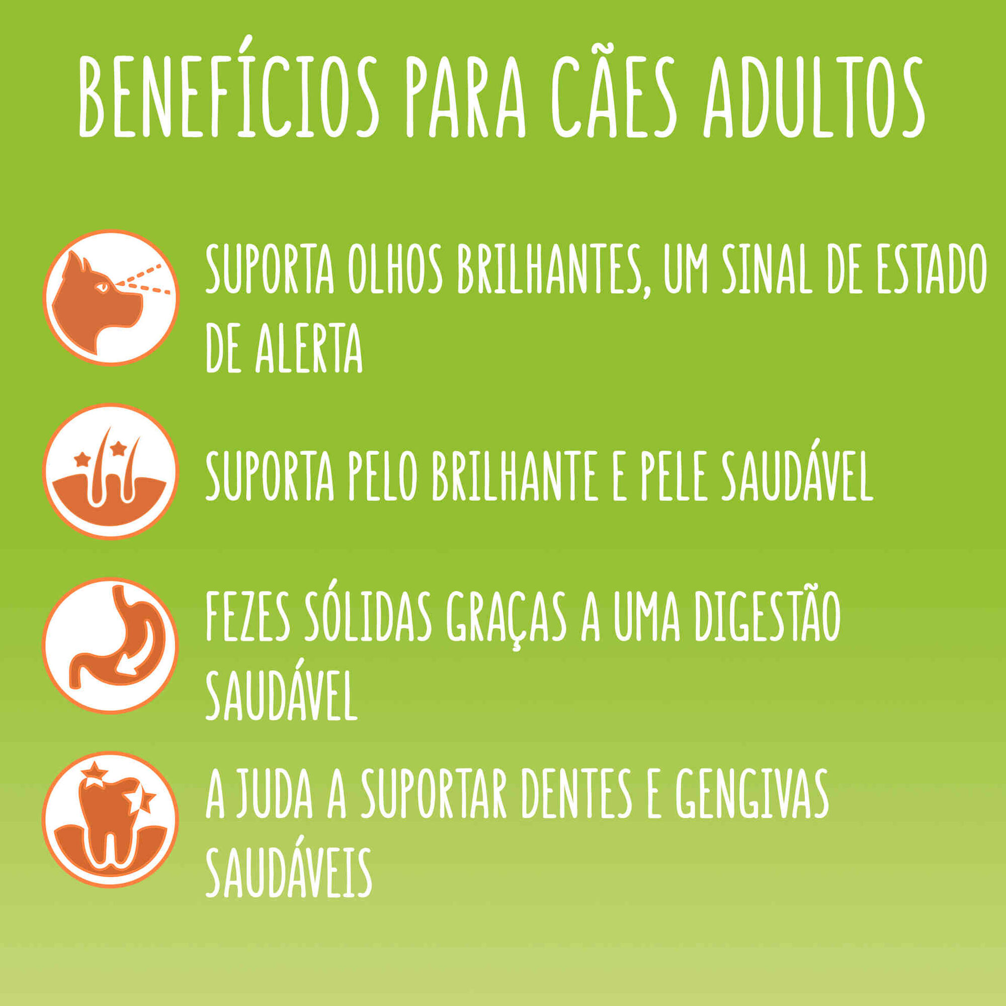 Ra&ccedil;&atilde;o para C&atilde;o Adulto Balance Frango e Legumes Purina Friskies