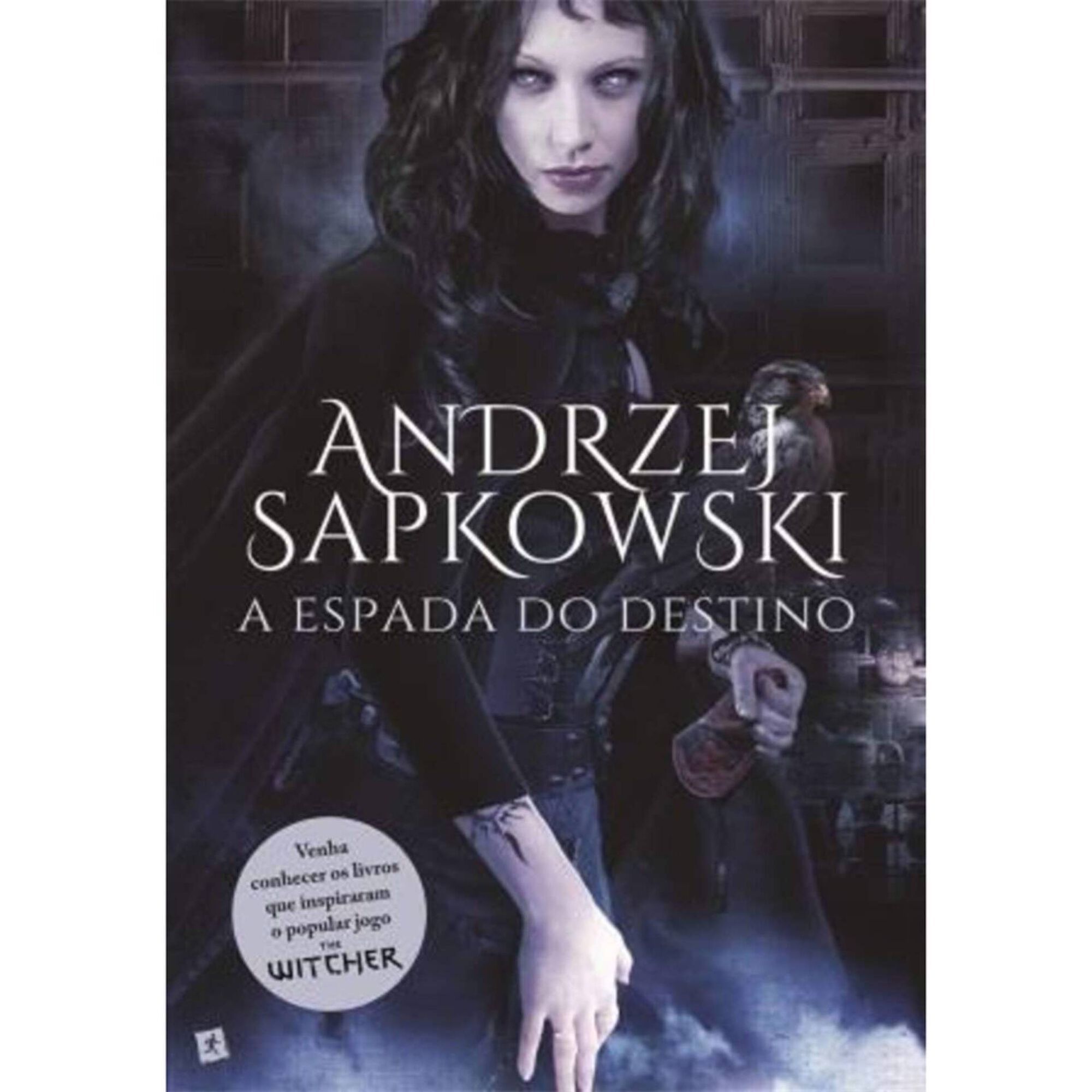 The Witcher - A Espada do Destino (volume 2) The Witcher - A Espada do Destino (volume 2)