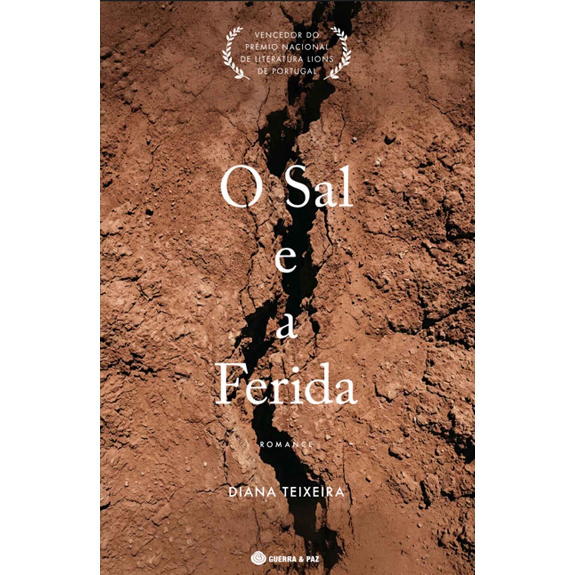 O Sal e a Ferida de Diana Teixeira