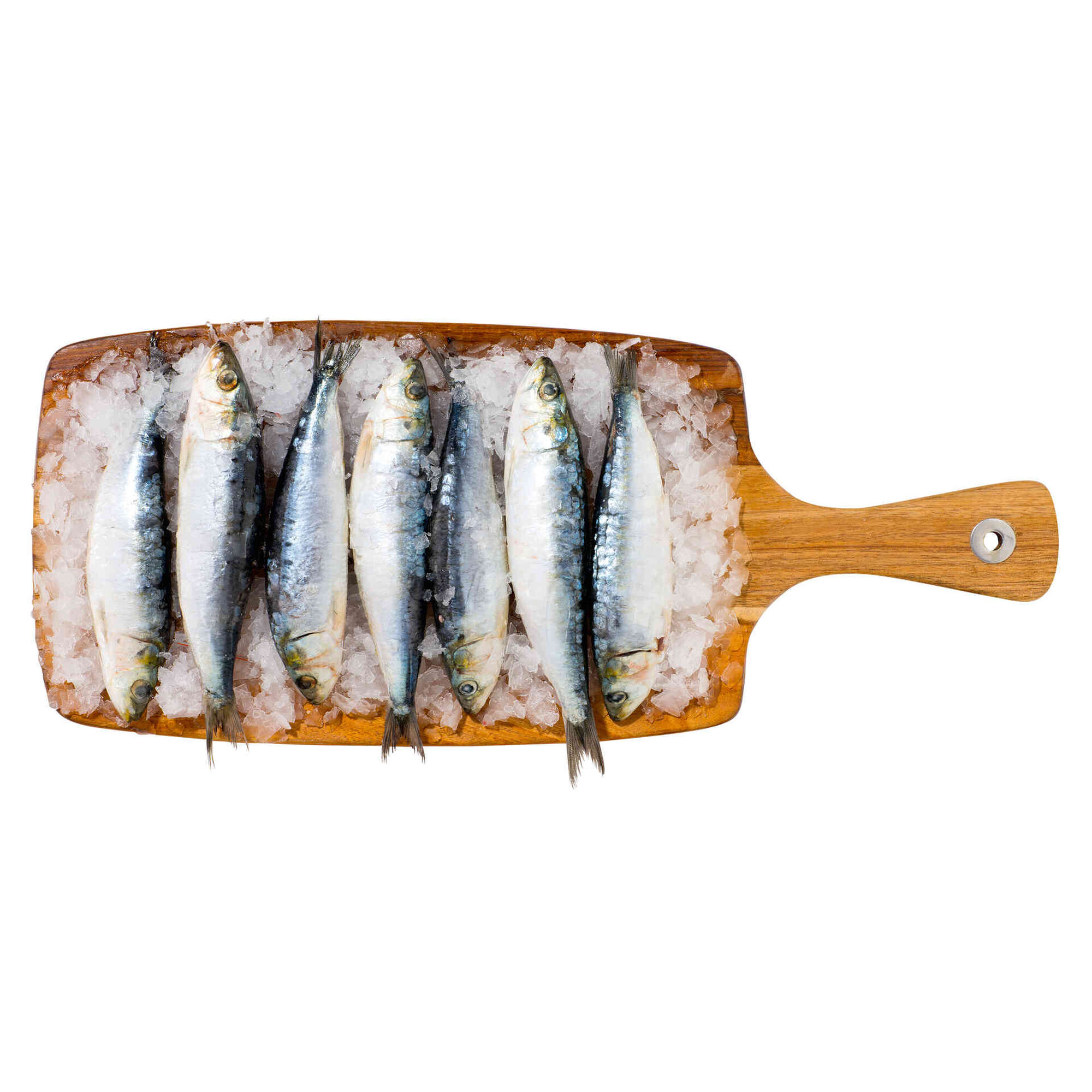 Sardinha Congelada