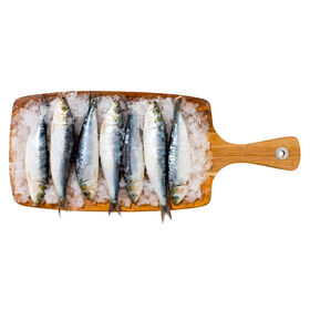 Sardinha Congelada Sardinha Congelada